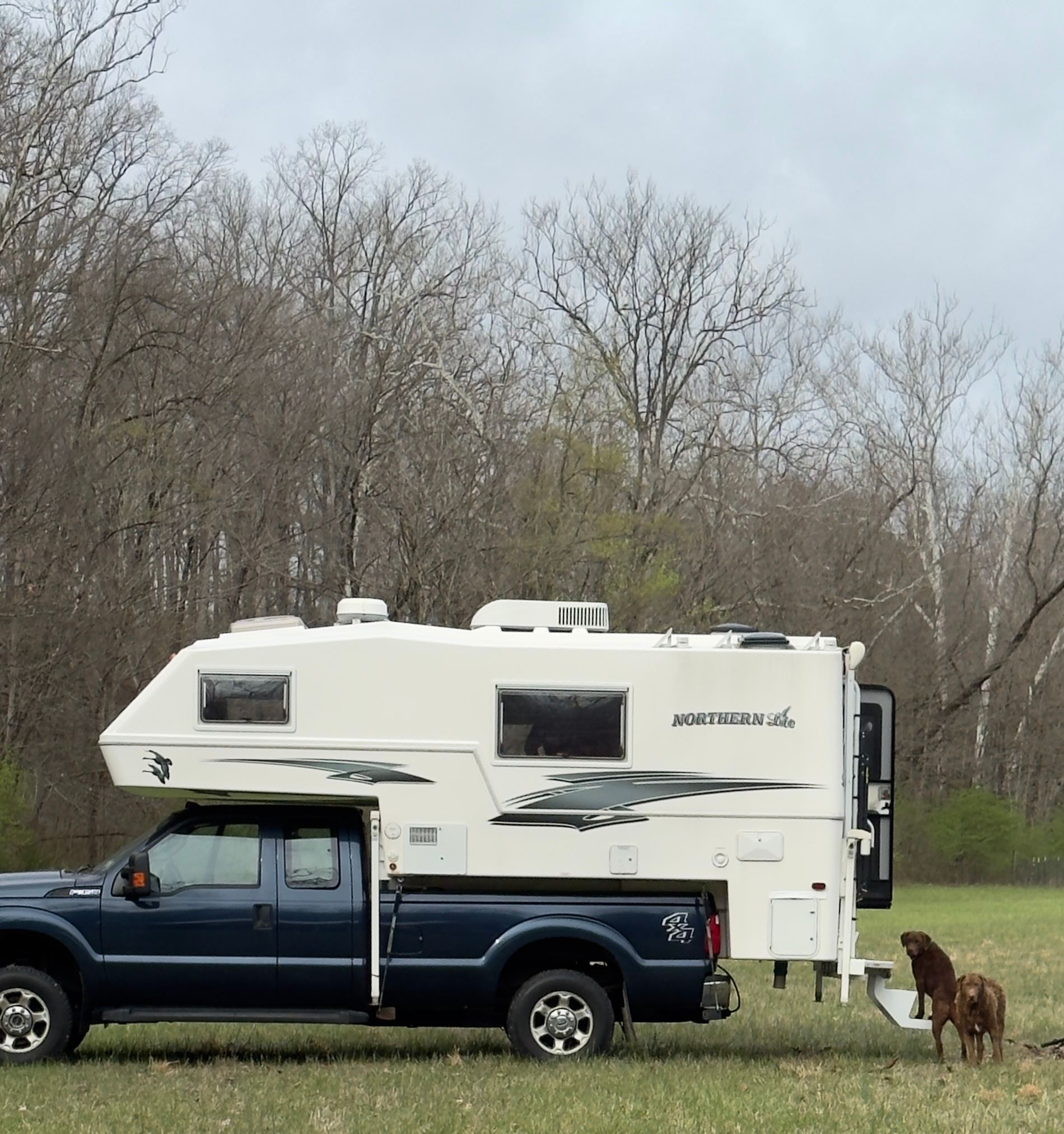 Ruckus and Molly loved it