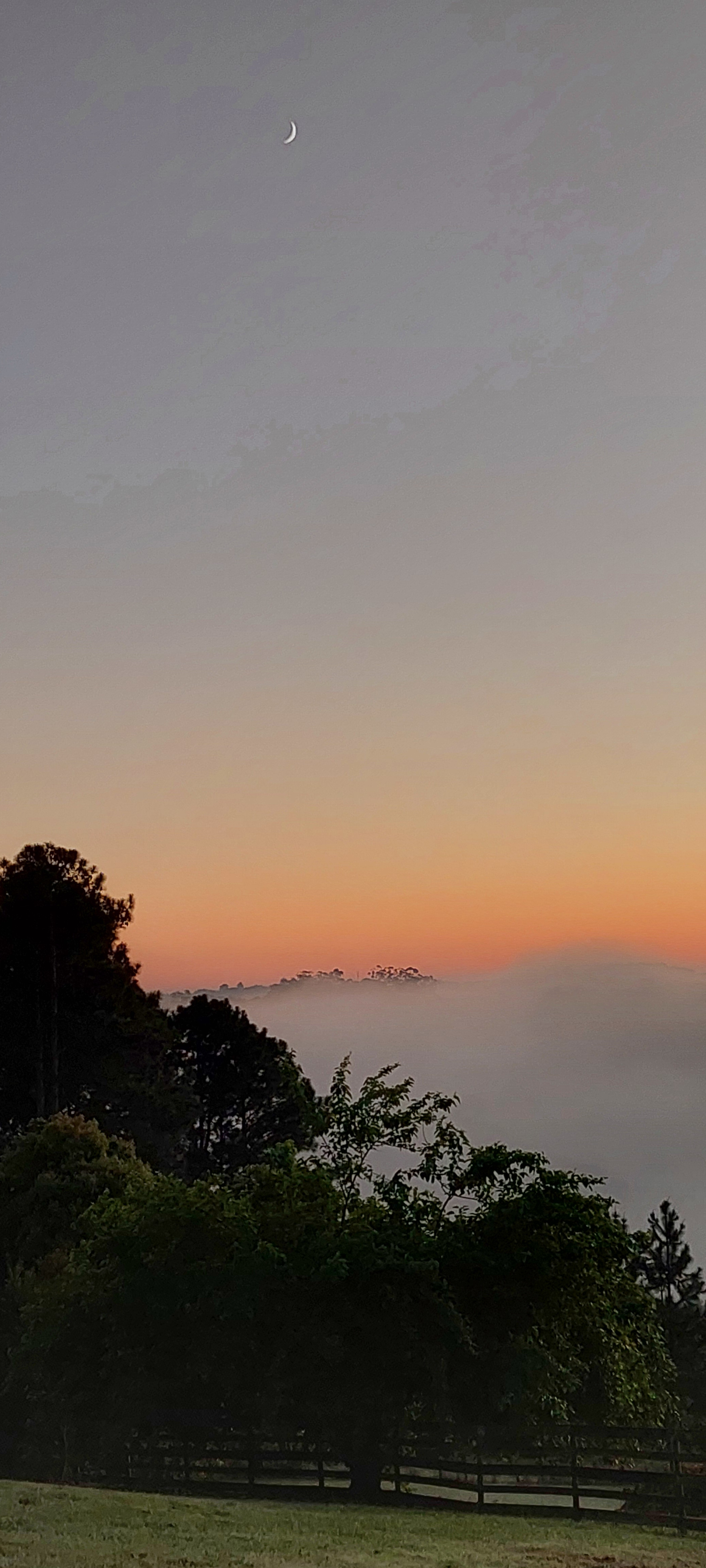 Sunrise morning fog over the valley camp-site.