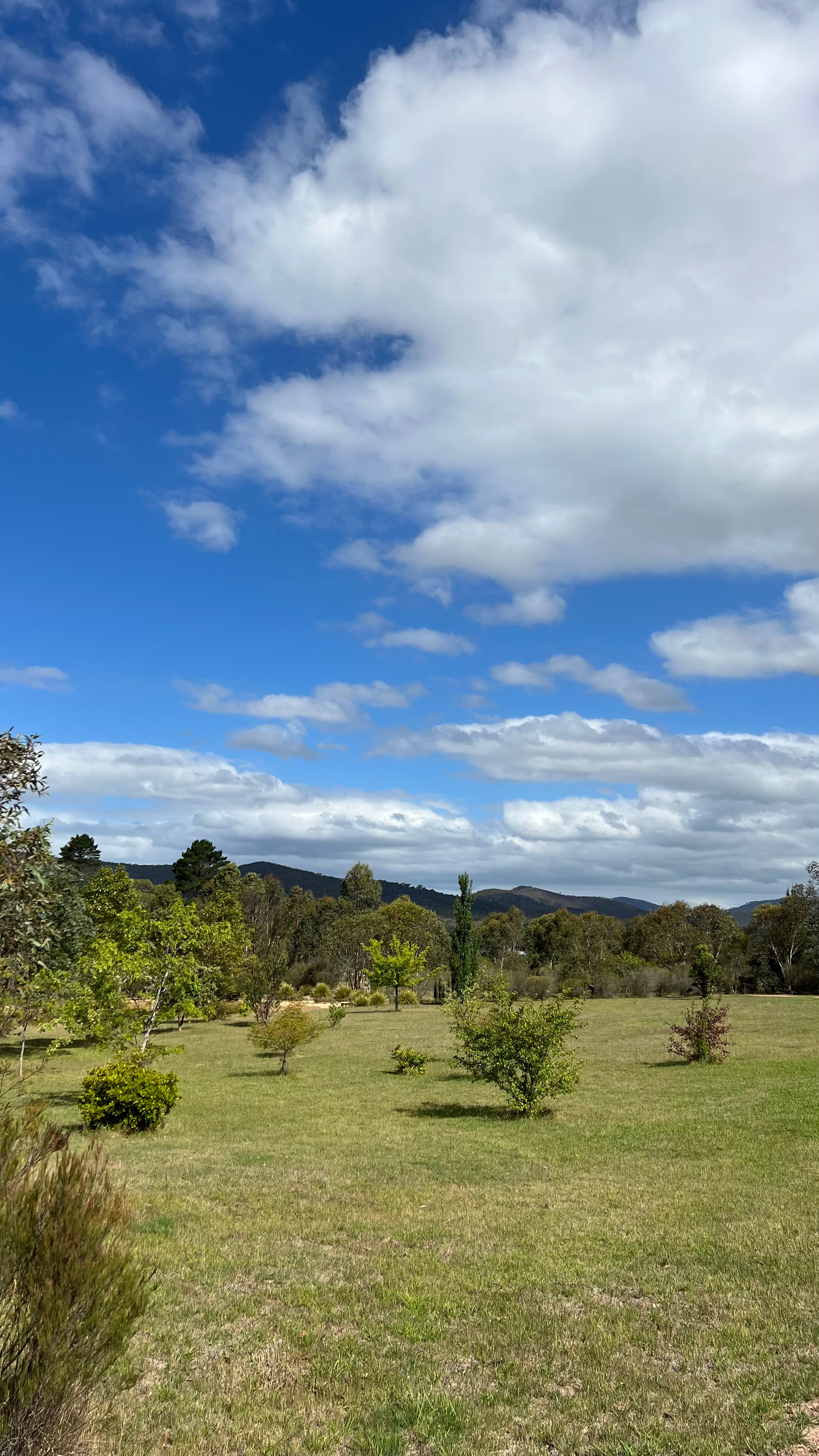 Dawn And Dusk Homestead | Farm Stay
