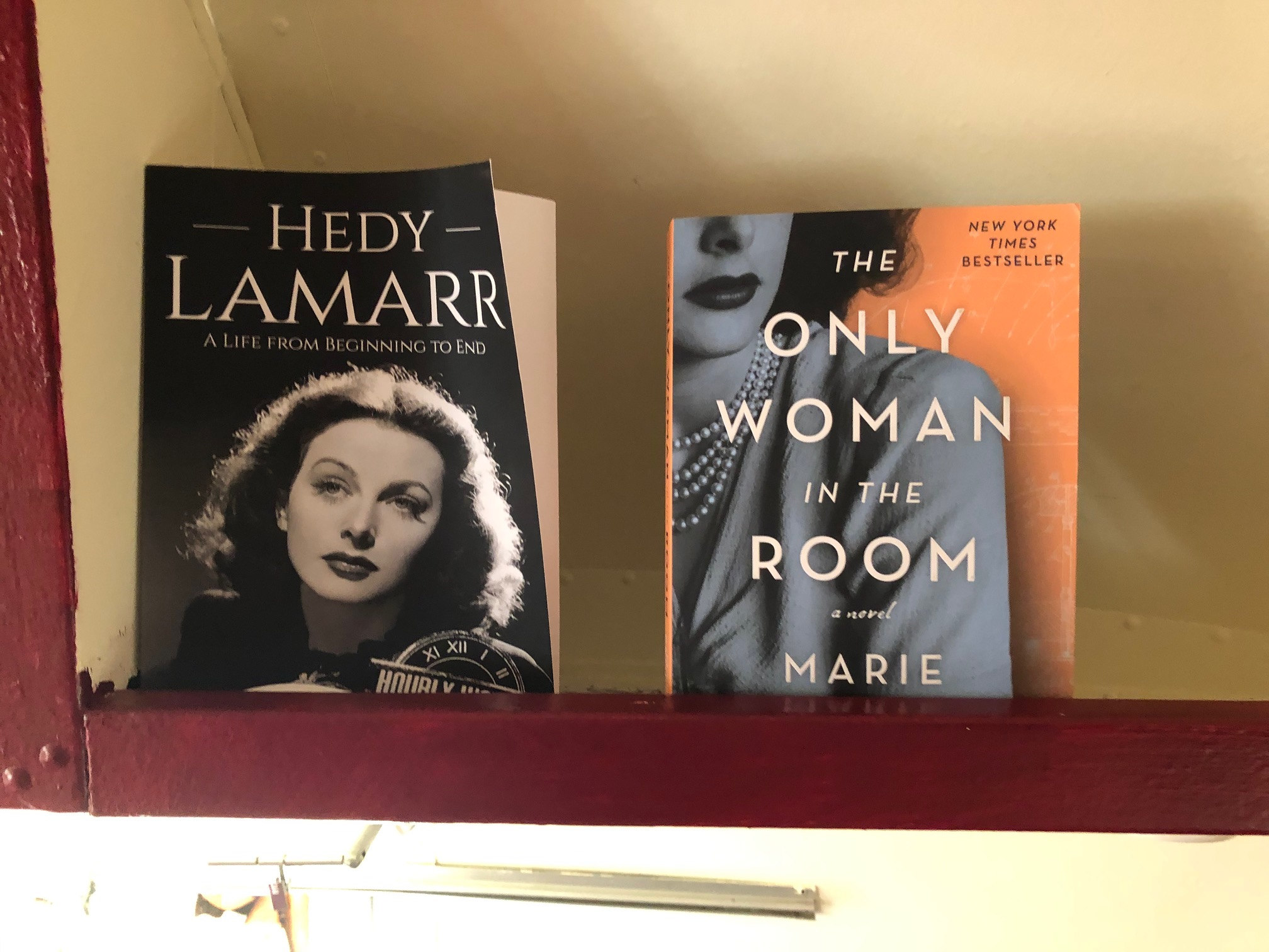 Hedy Lamarr Airstream