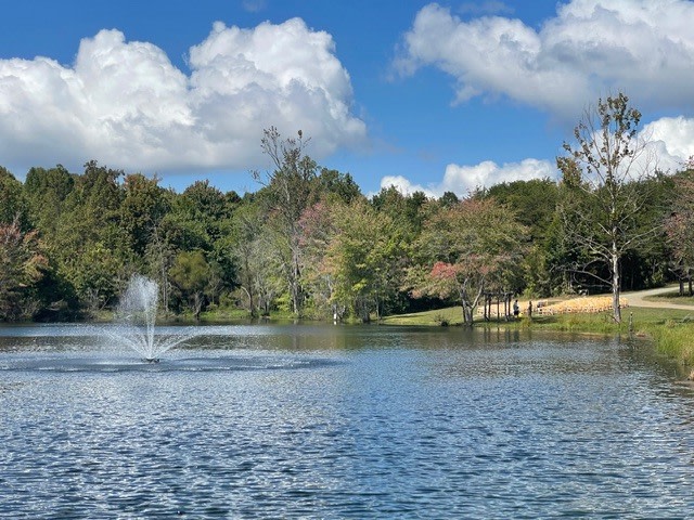 Camp Springs Blue Grass Park & Camp