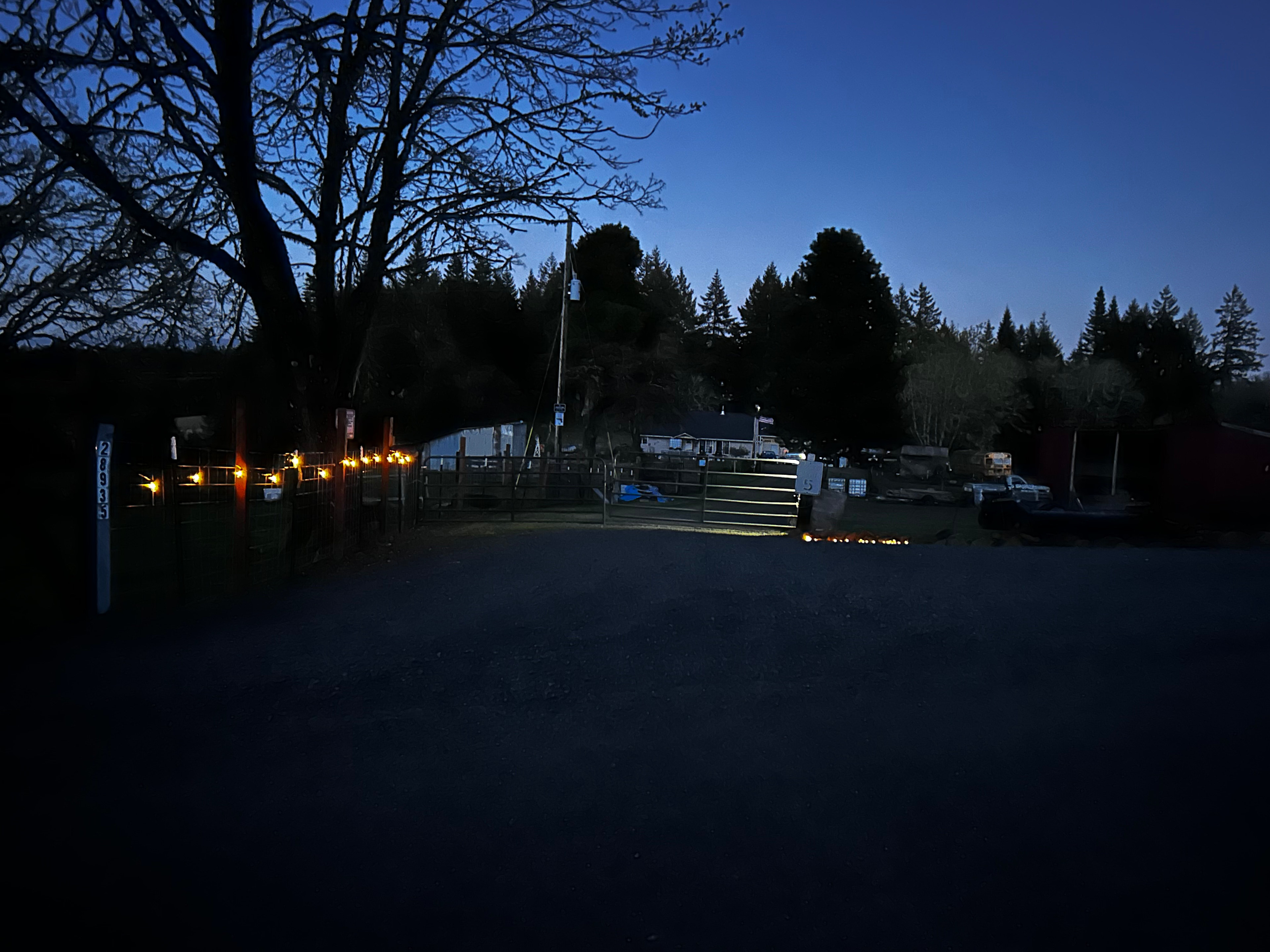 Dorcas Hamlet