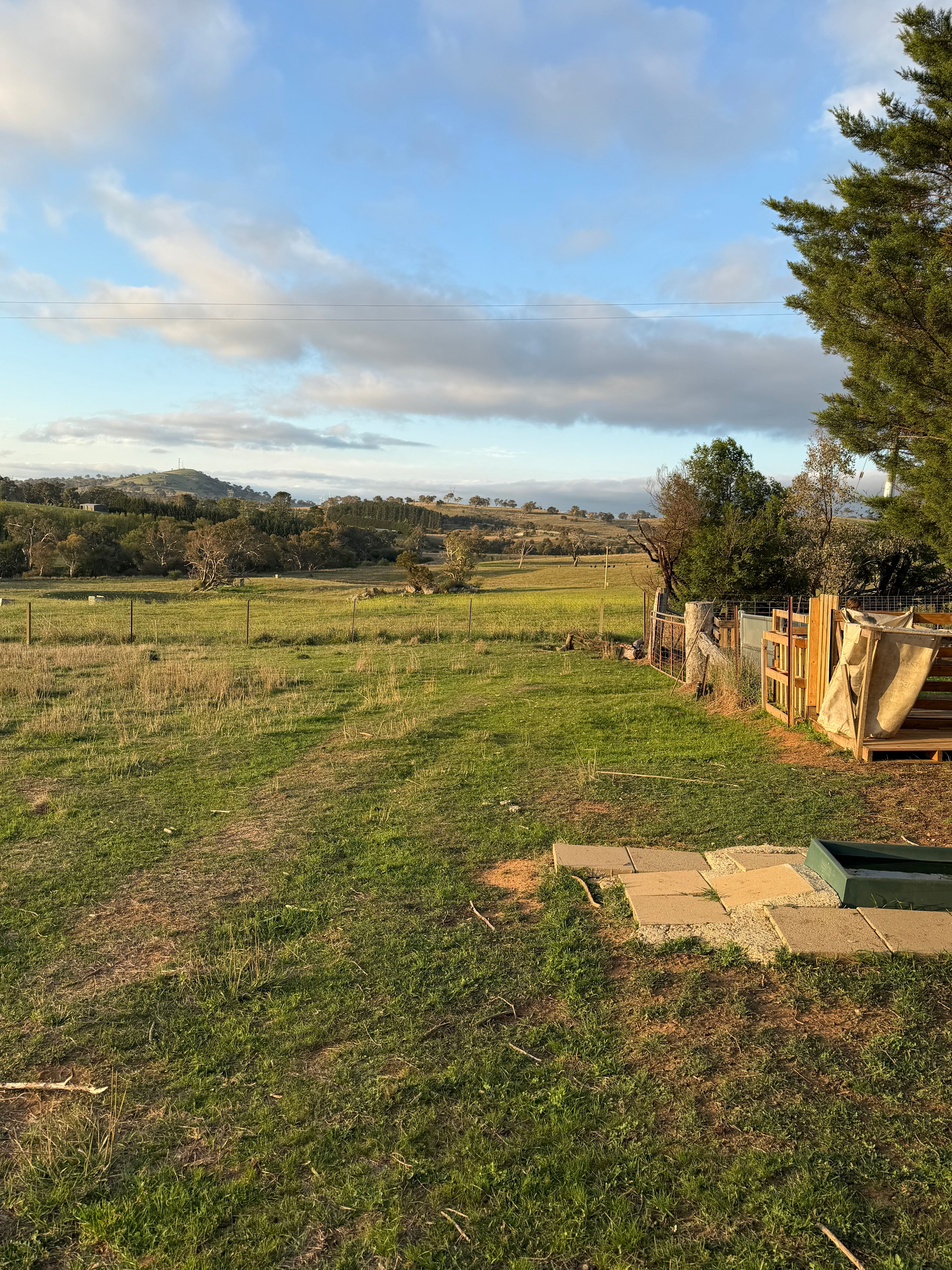 Corella Farm