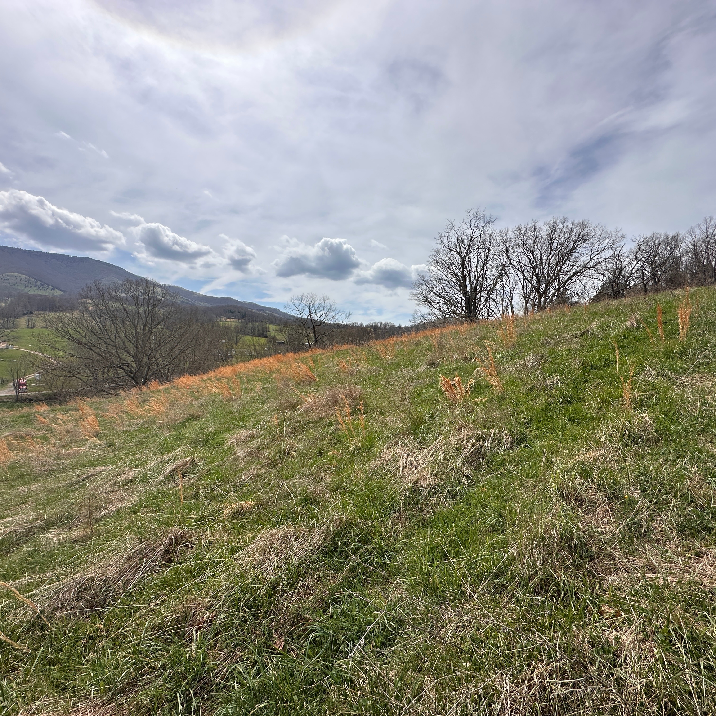 Whispering Creek Preserve
