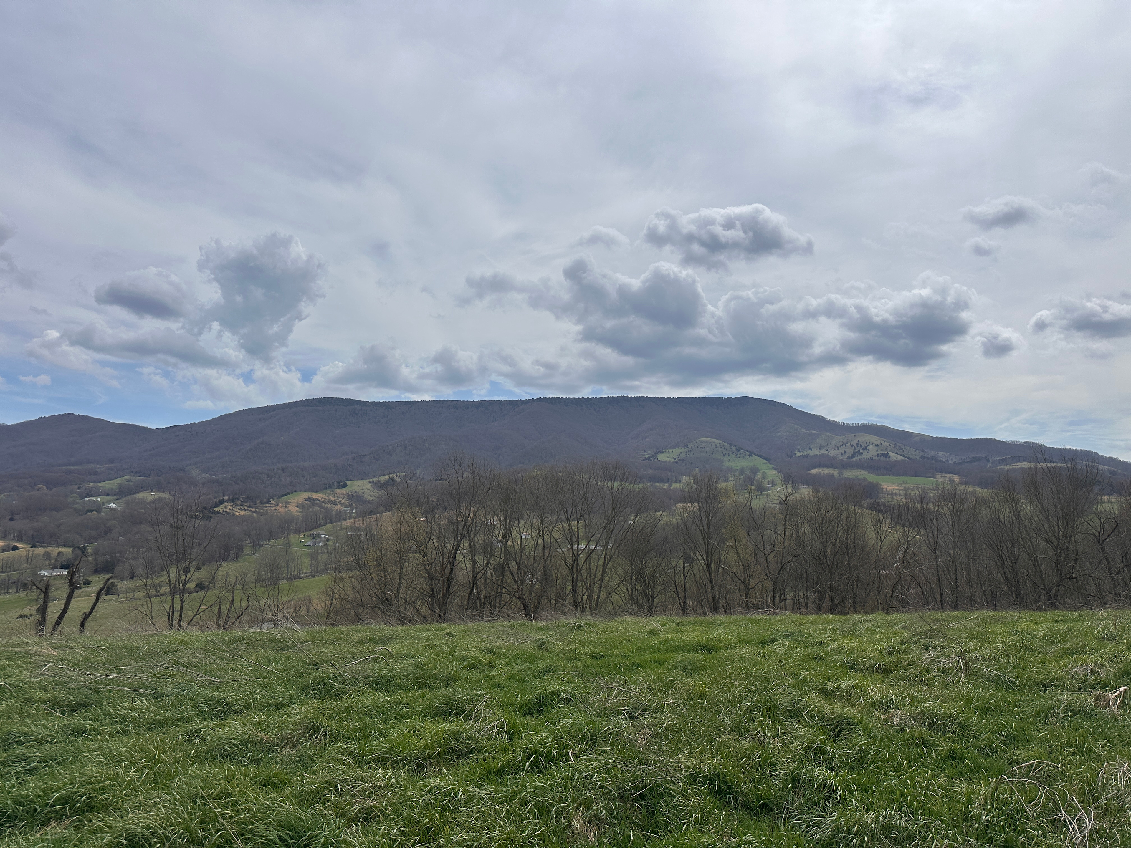 Whispering Creek Preserve