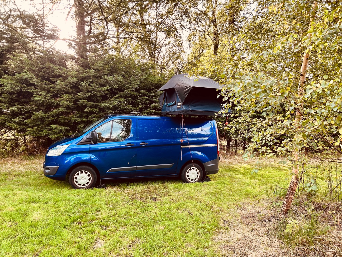 Staddlestones Paddock