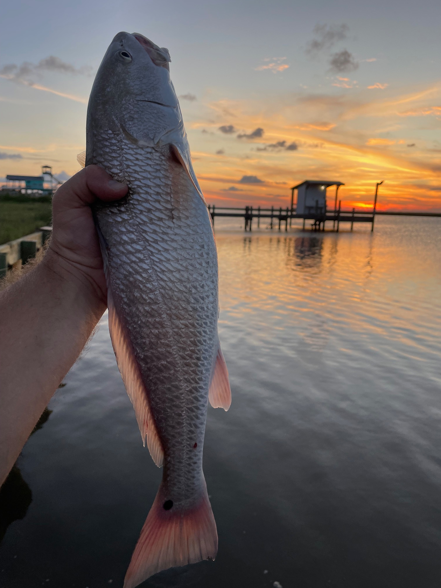 Blue Crabs RV Spot