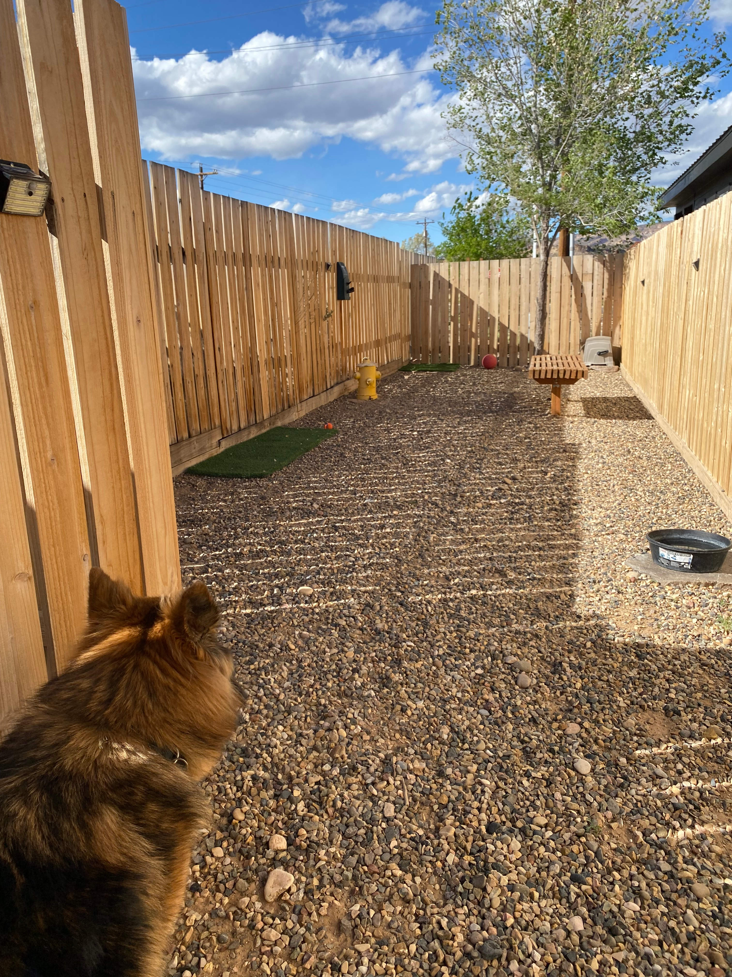 Dog park