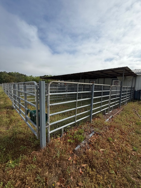 Each stall has an individual "run out". Stall rent is not included in camping fee. Renting stalls must be arranged prior to arrival.