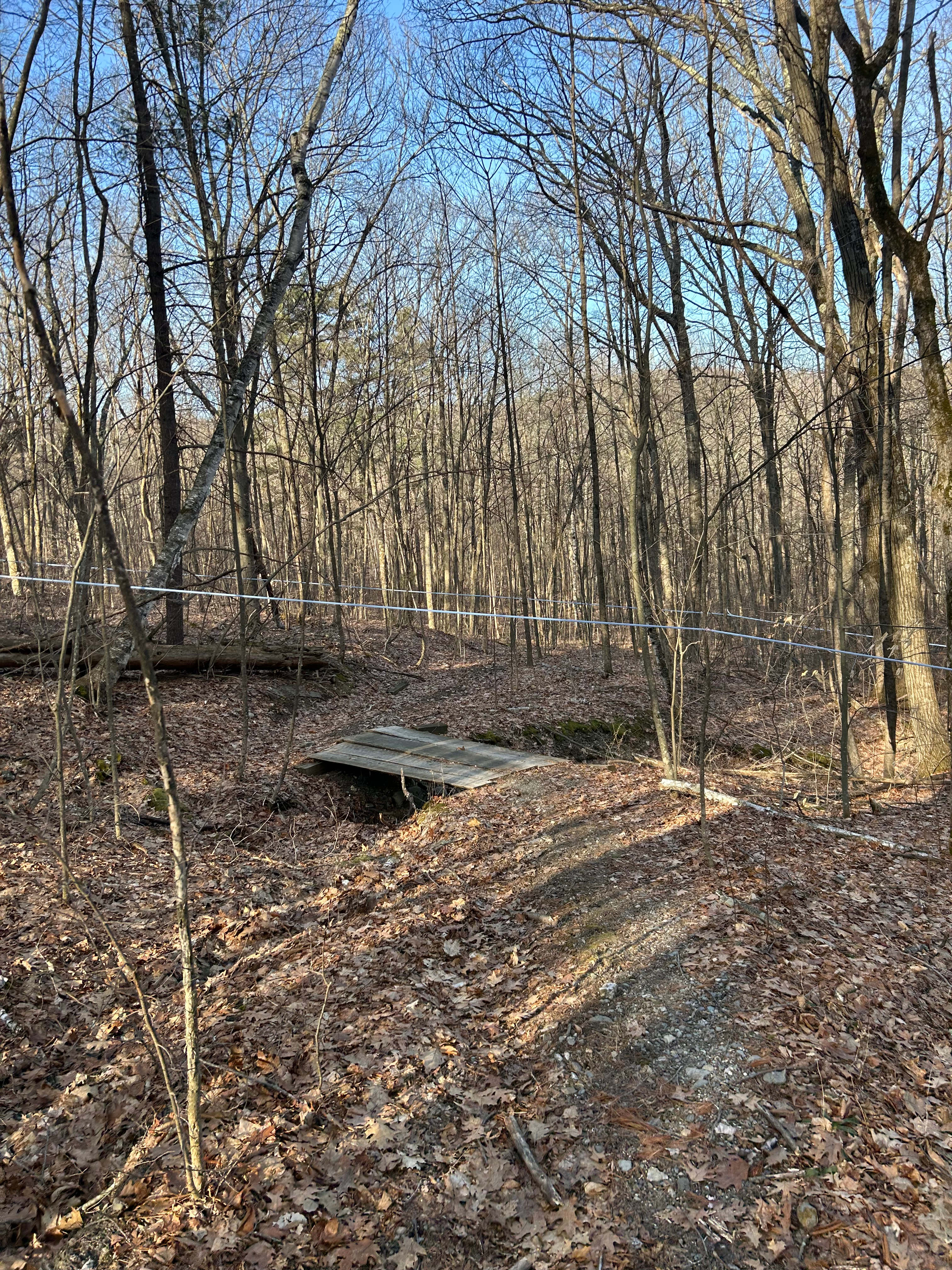 Birdseye Primitive Cabin