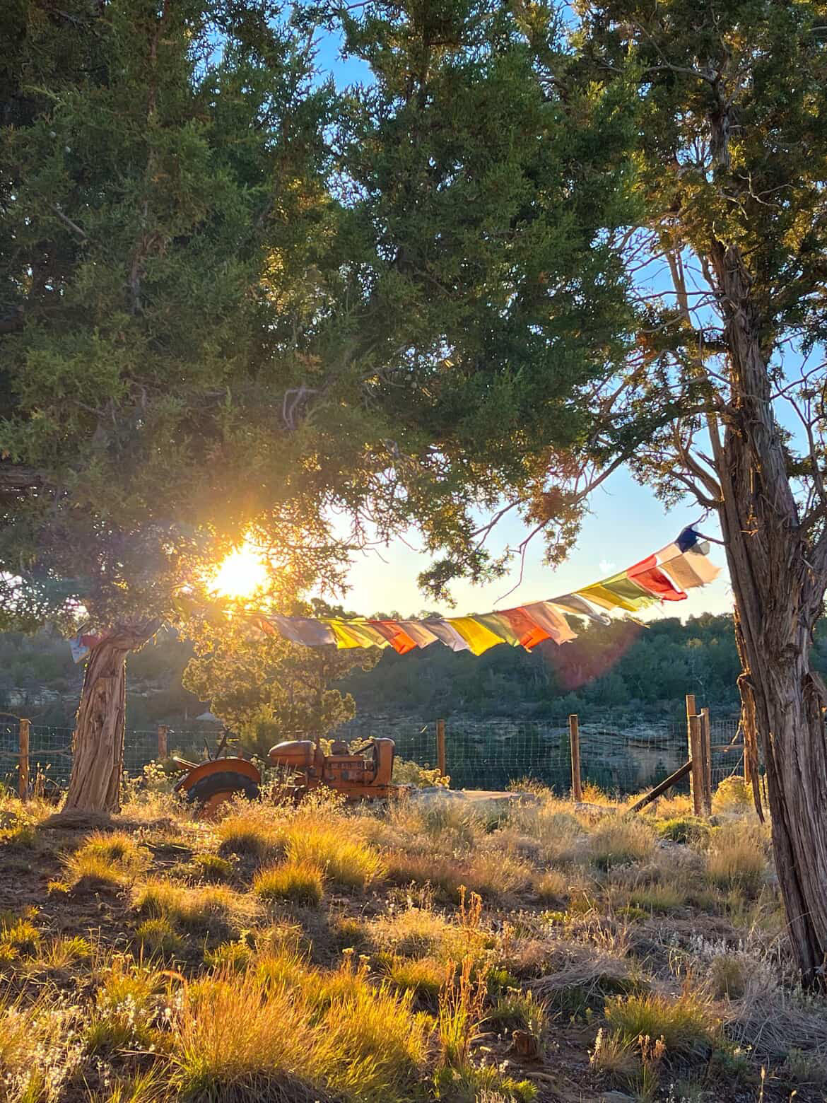 Lavender Farm Bed and Breakfast