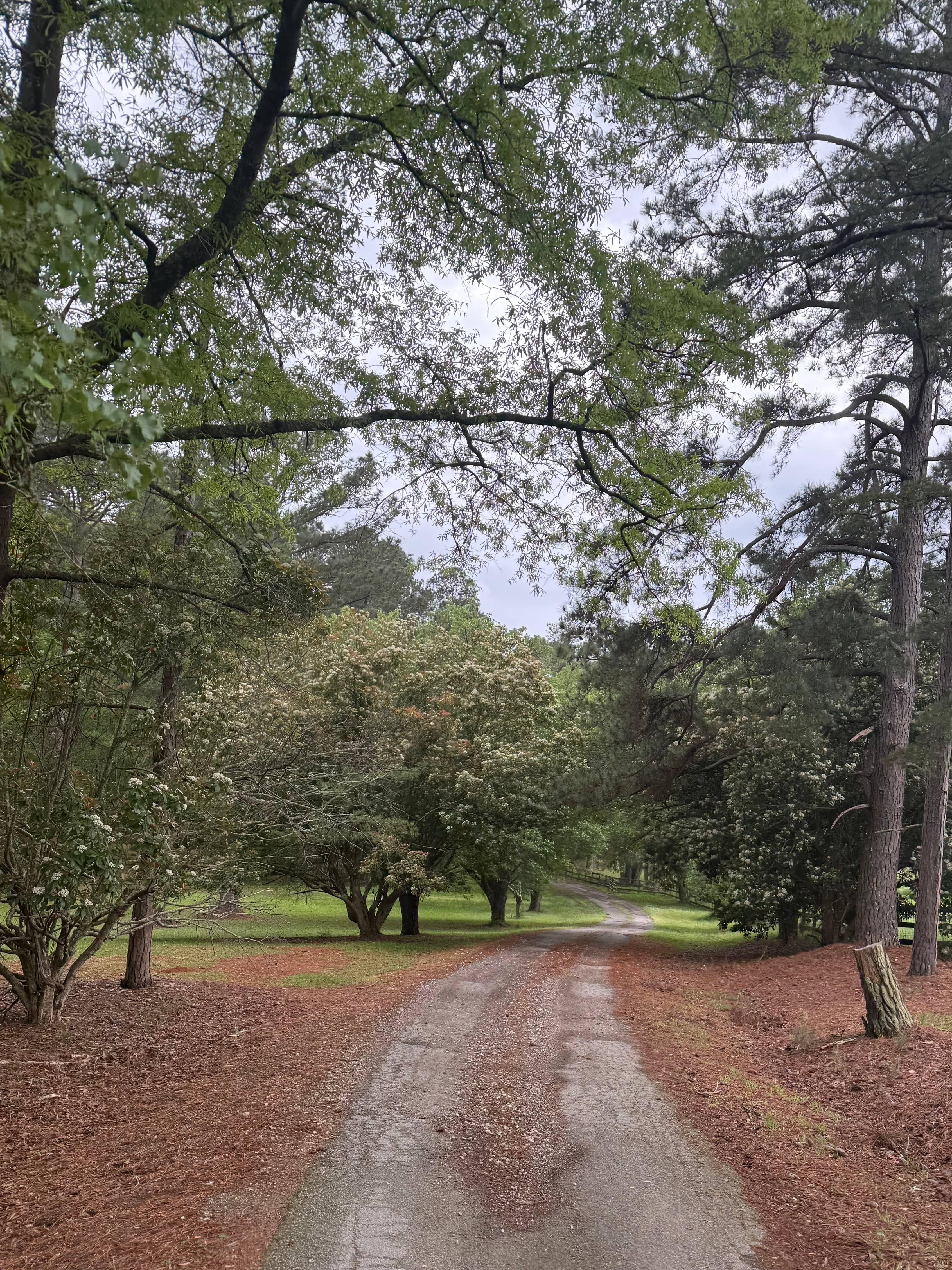 Country Bliss