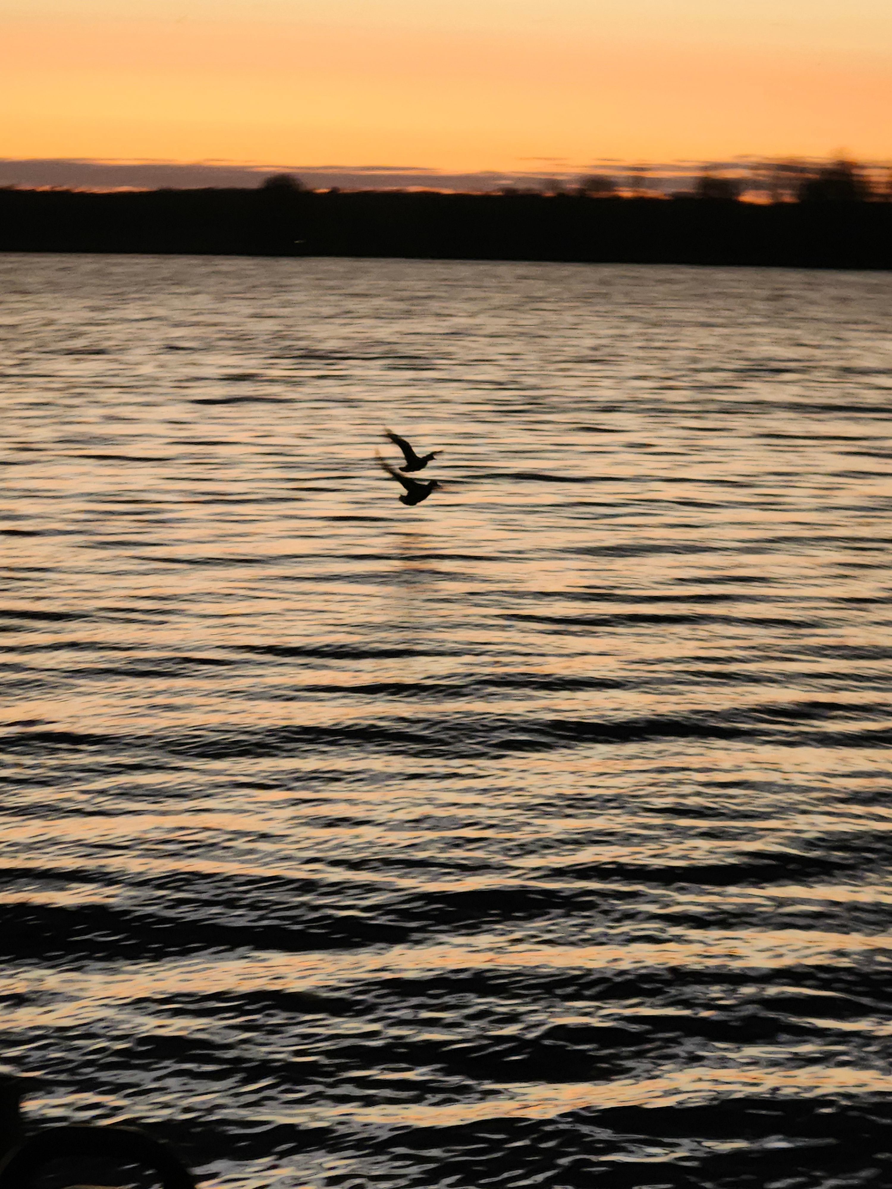South Shore Hideaway - Hay Bay