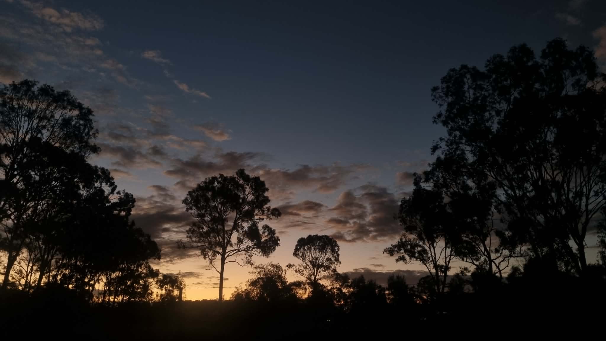 The Back Paddock