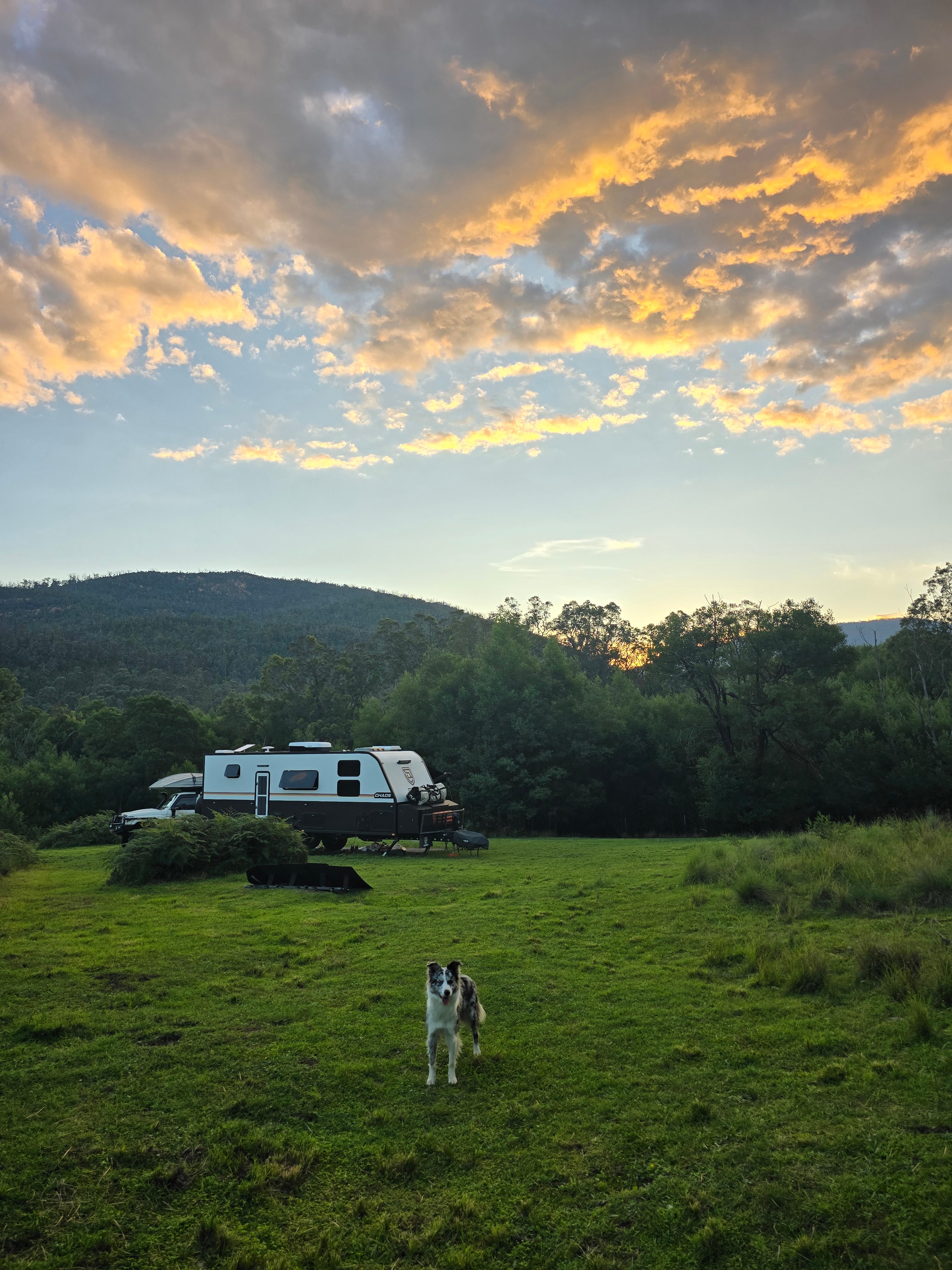 Misty Mountain Wildlife Refuge