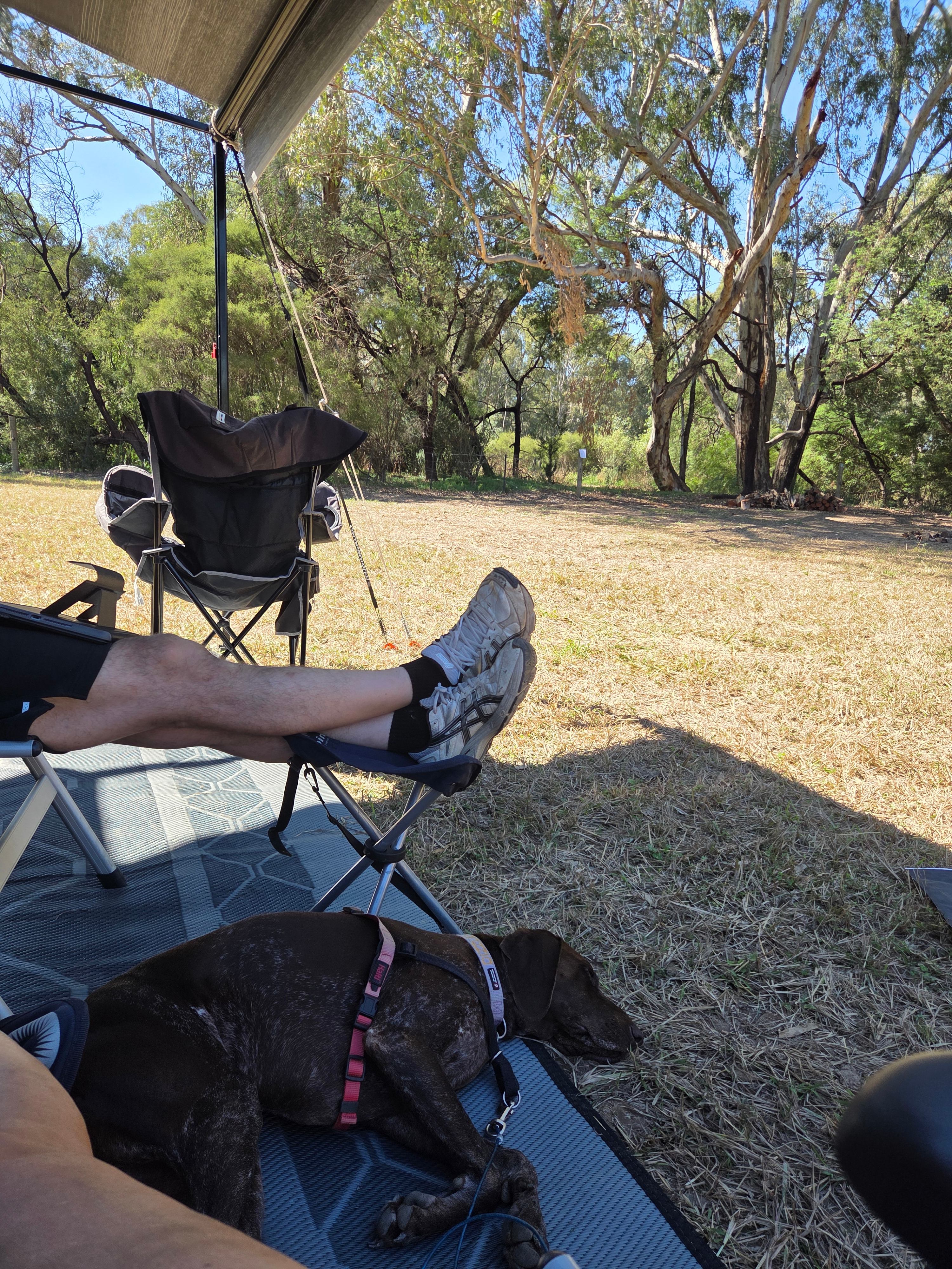 Jackaleah Farm Stay - Camping