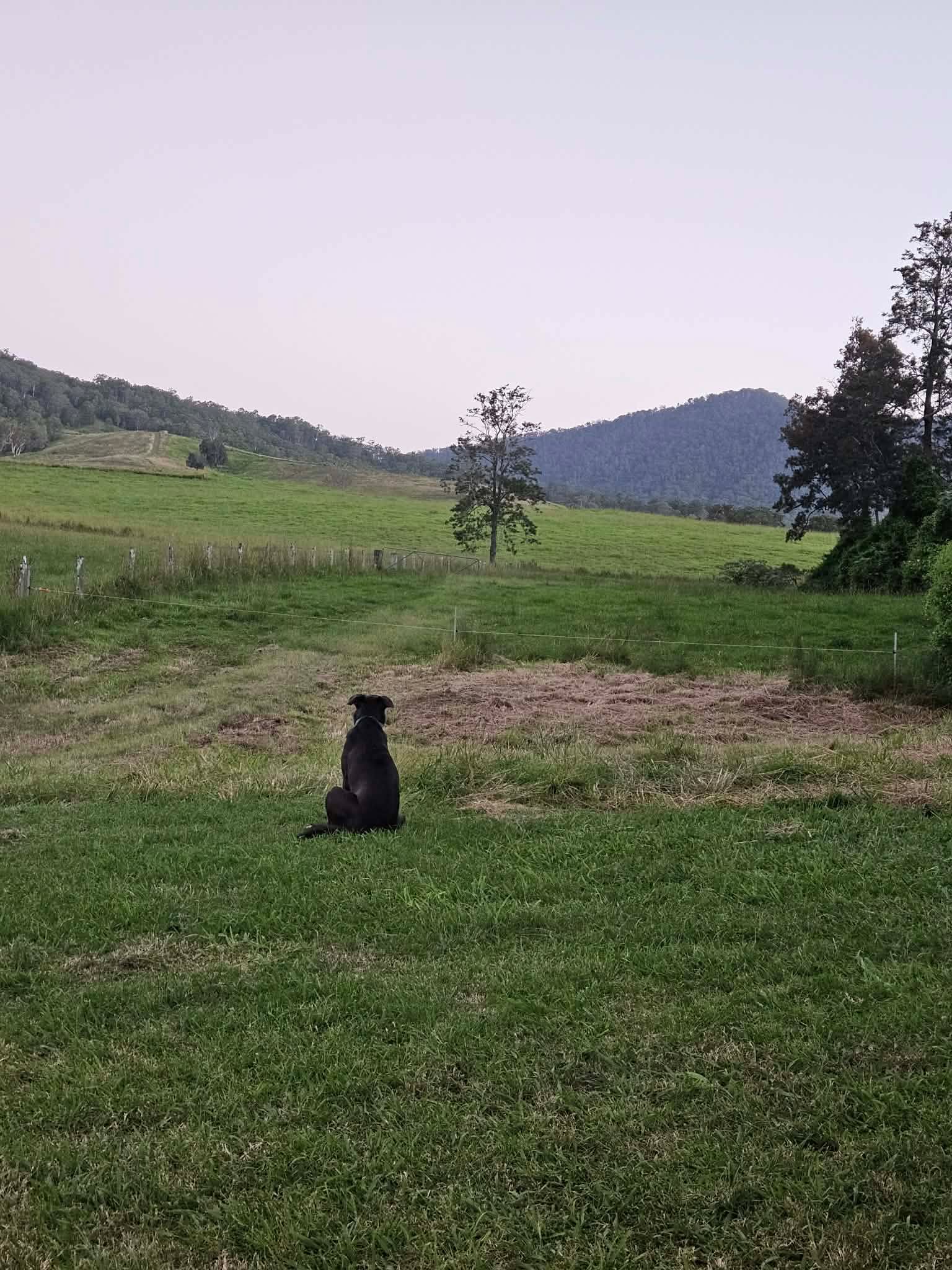 Mt Lion Farm Secluded Creek Camping