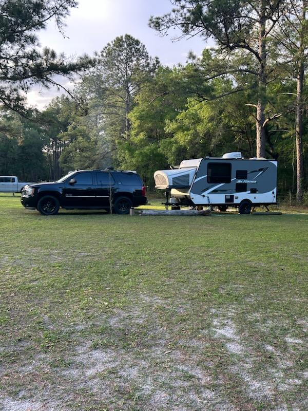Site 3 Between the pines