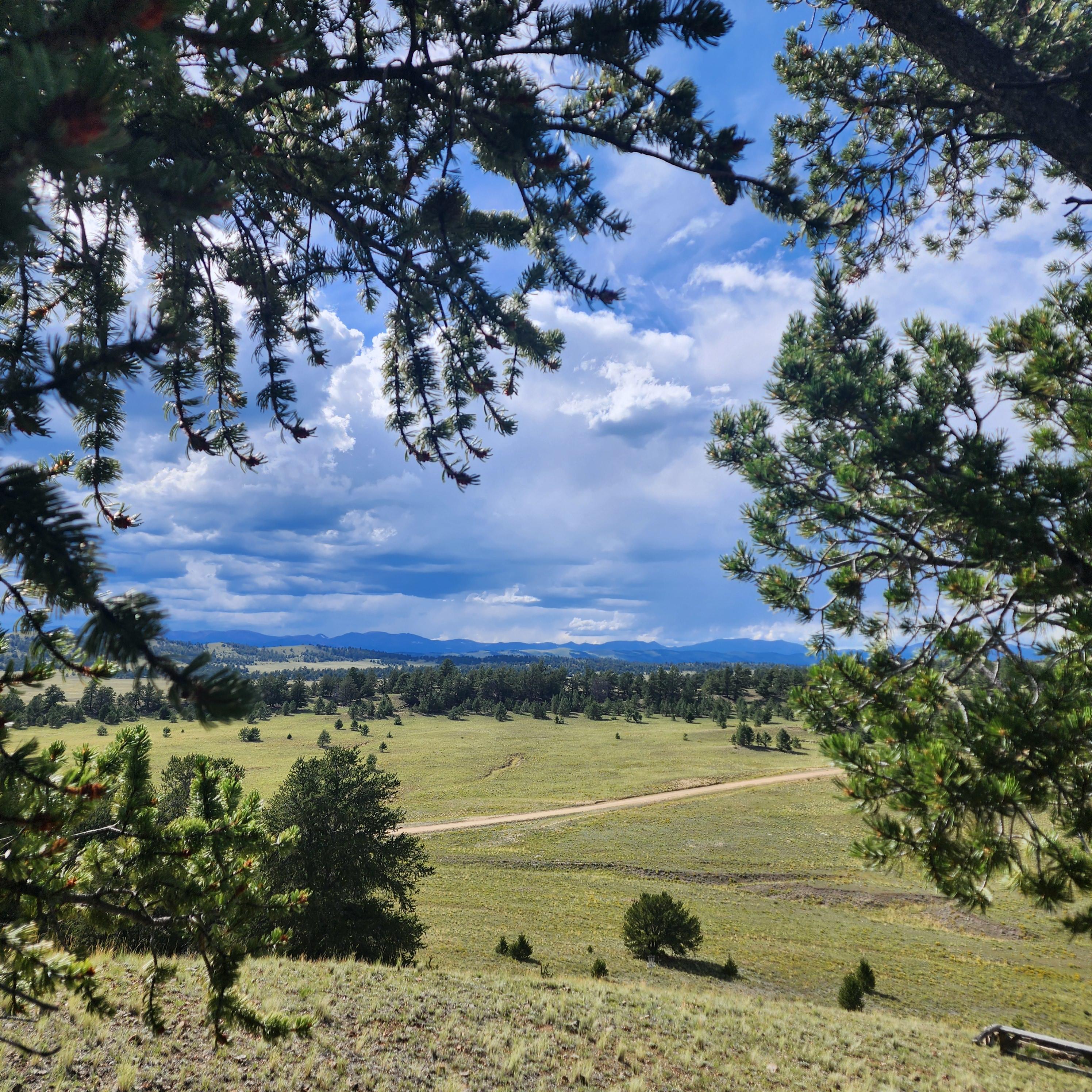 Dreamtime Ranch