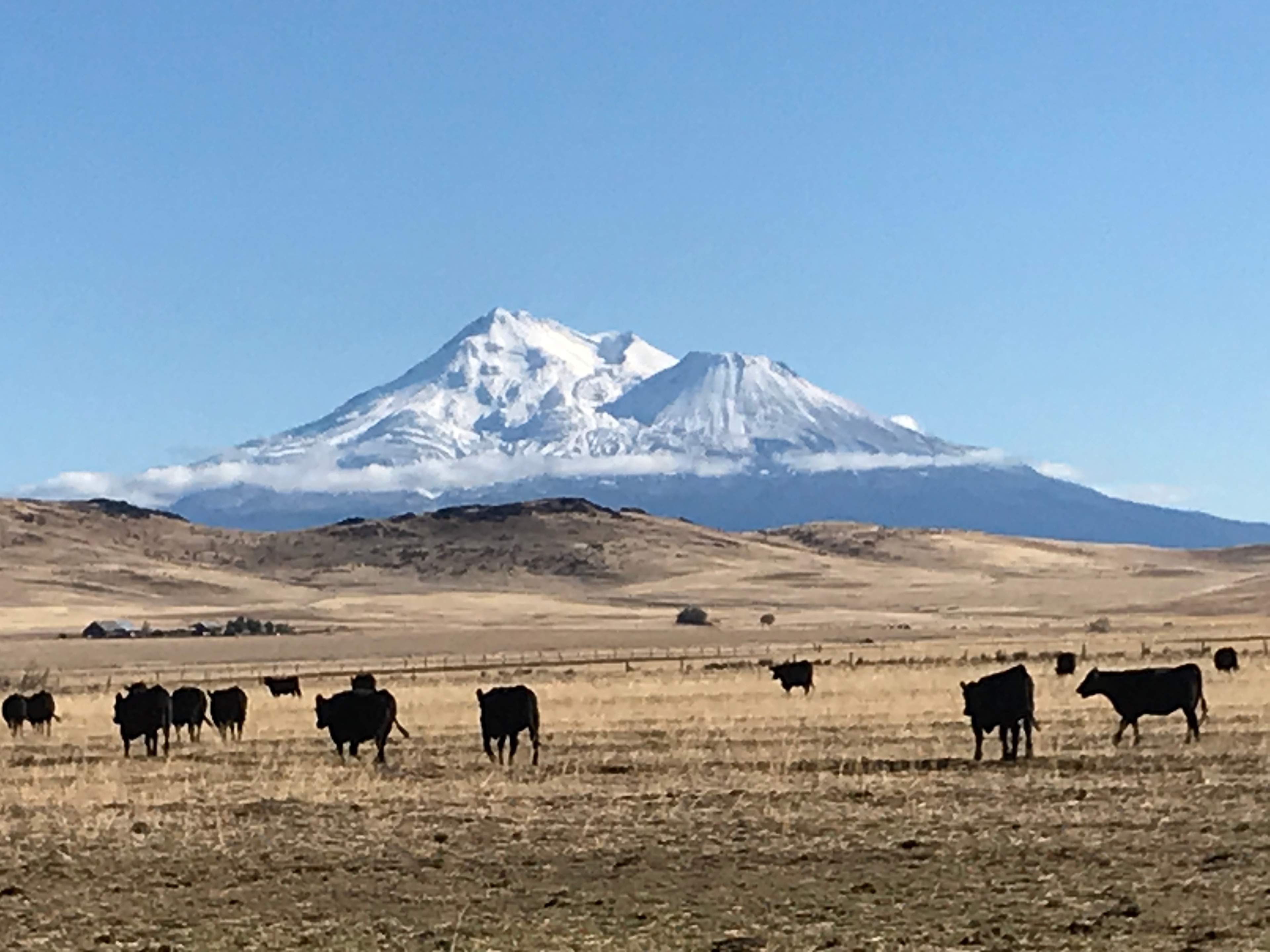Crookedhouse Ranch in Shasta Valley