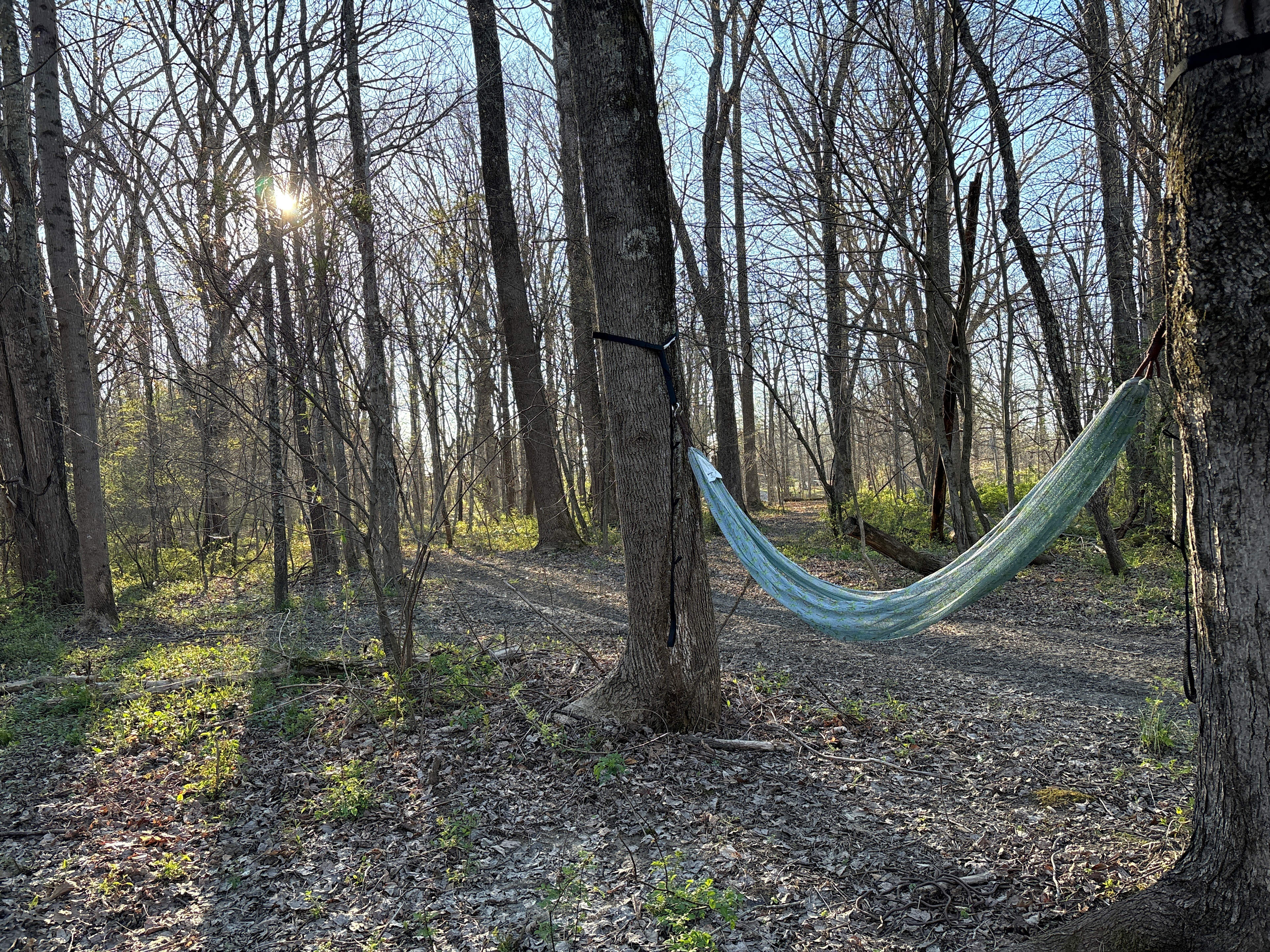 One of hundreds of places to chill out in a hammock after a long day of adventures!