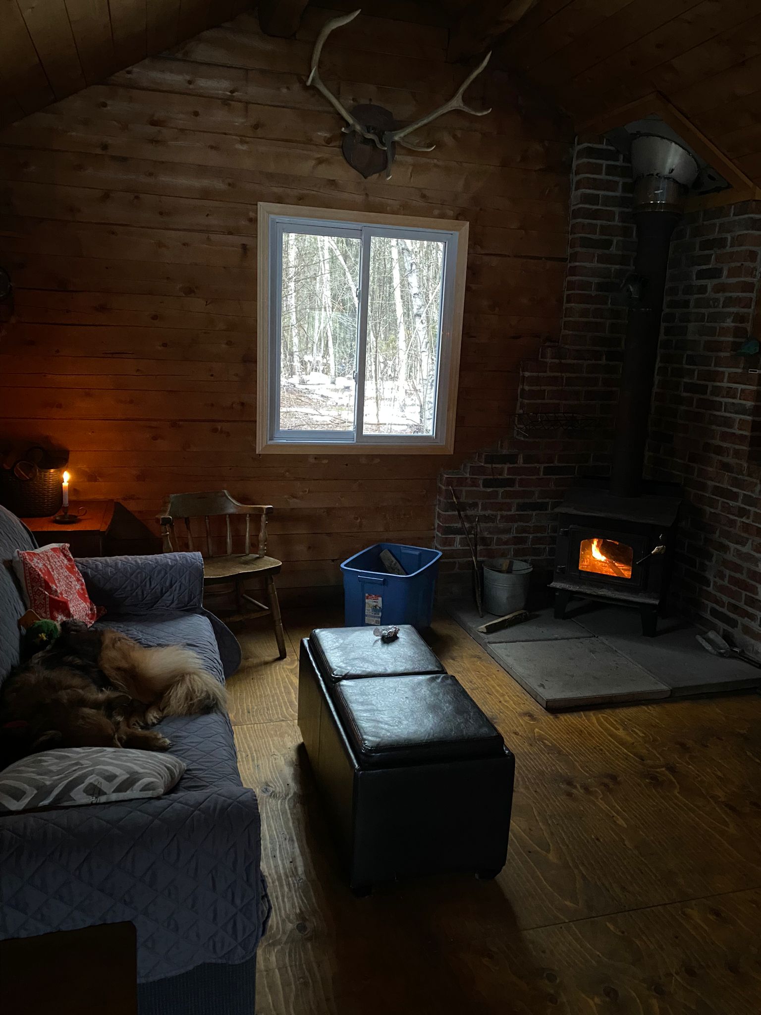 Cabin In The Woods