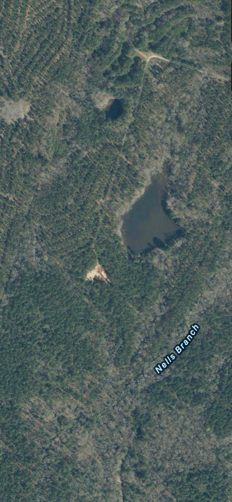 Beaver Pond Farm