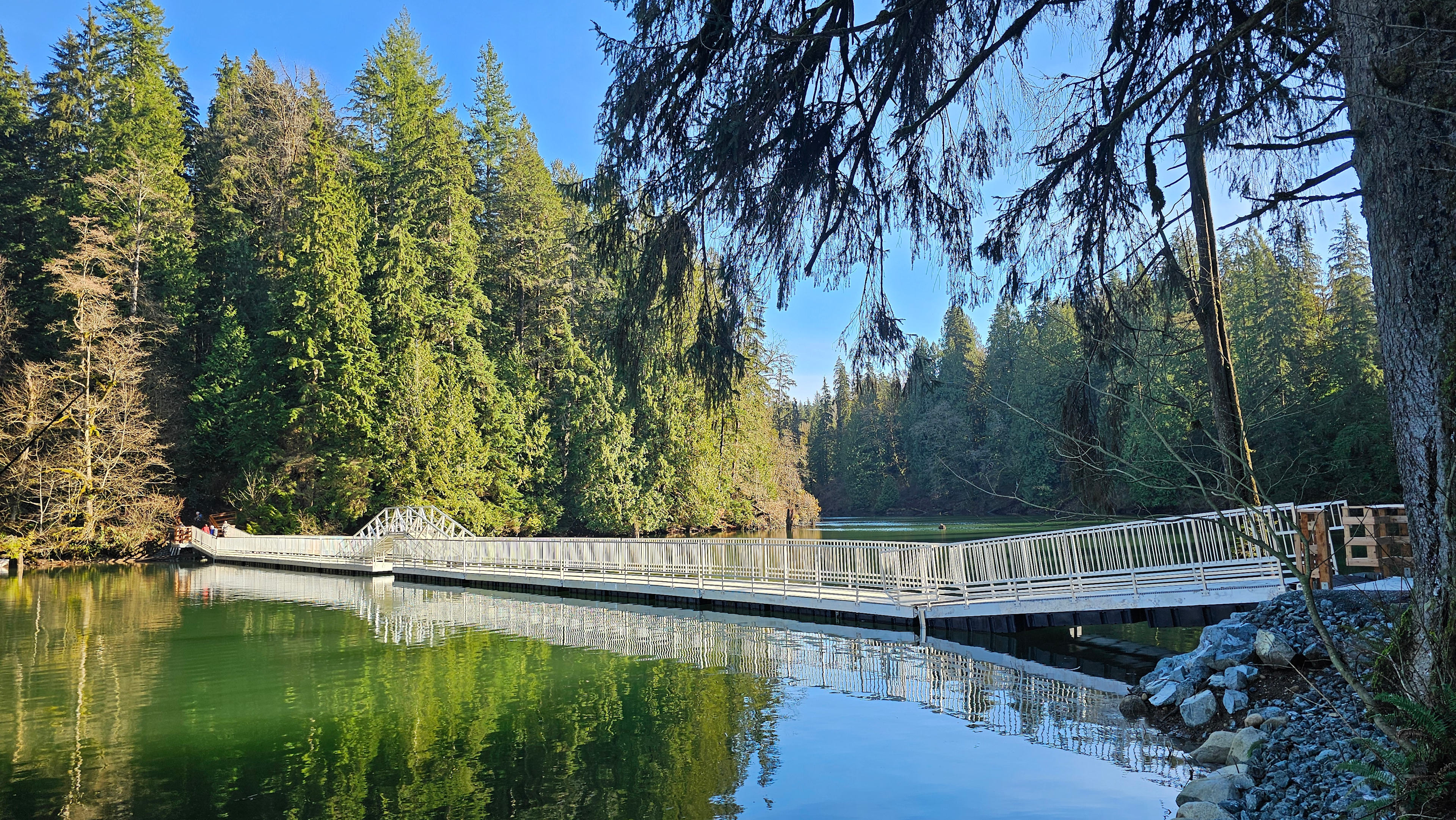 Hayward Trails Camping