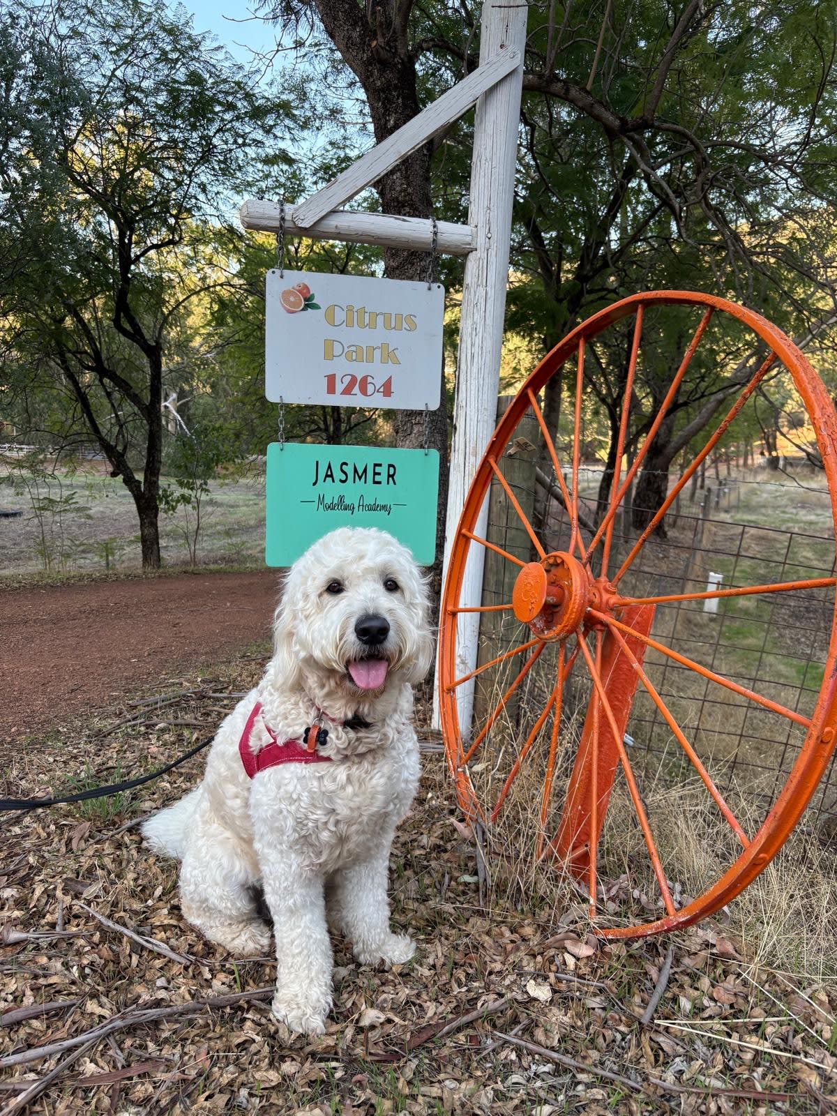 Citrus Park – A peaceful escape