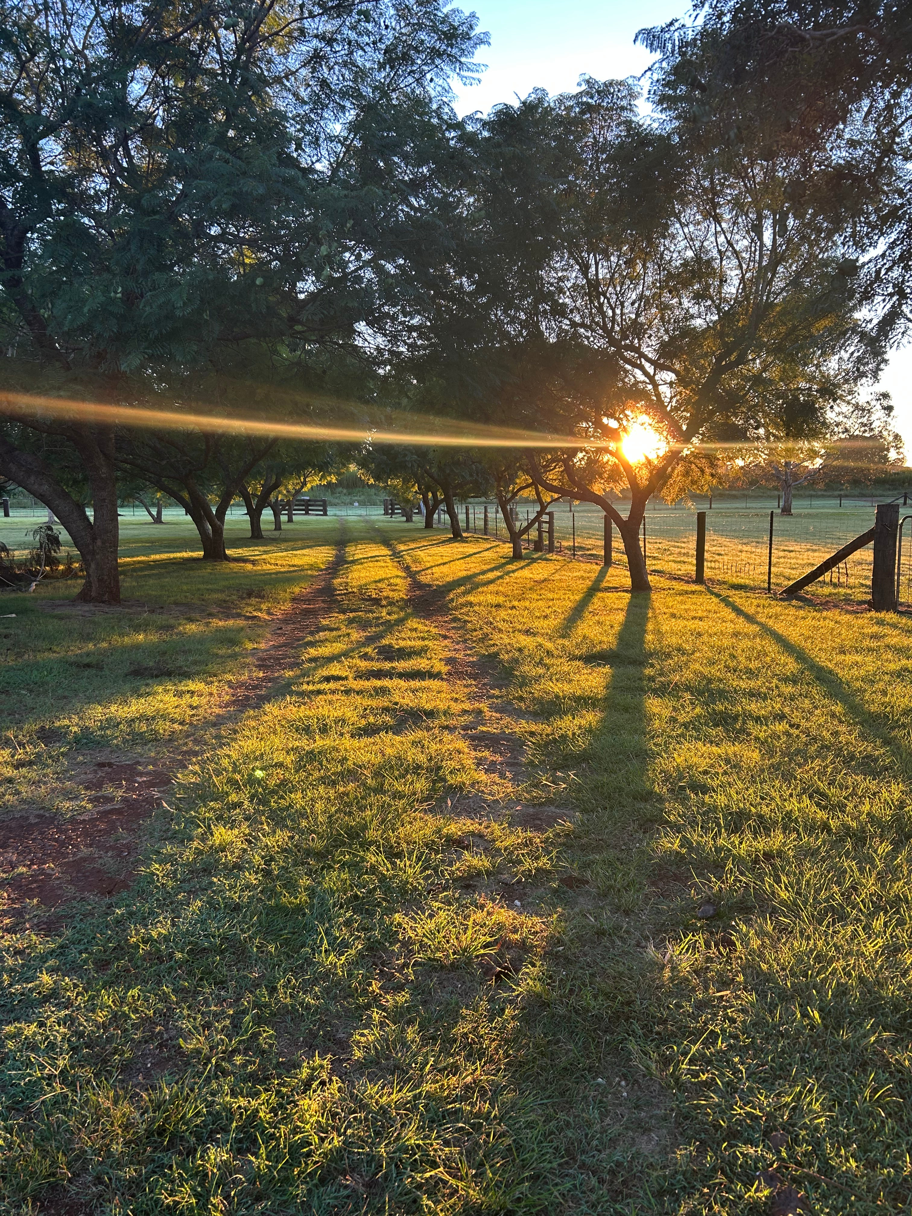Maple Acres