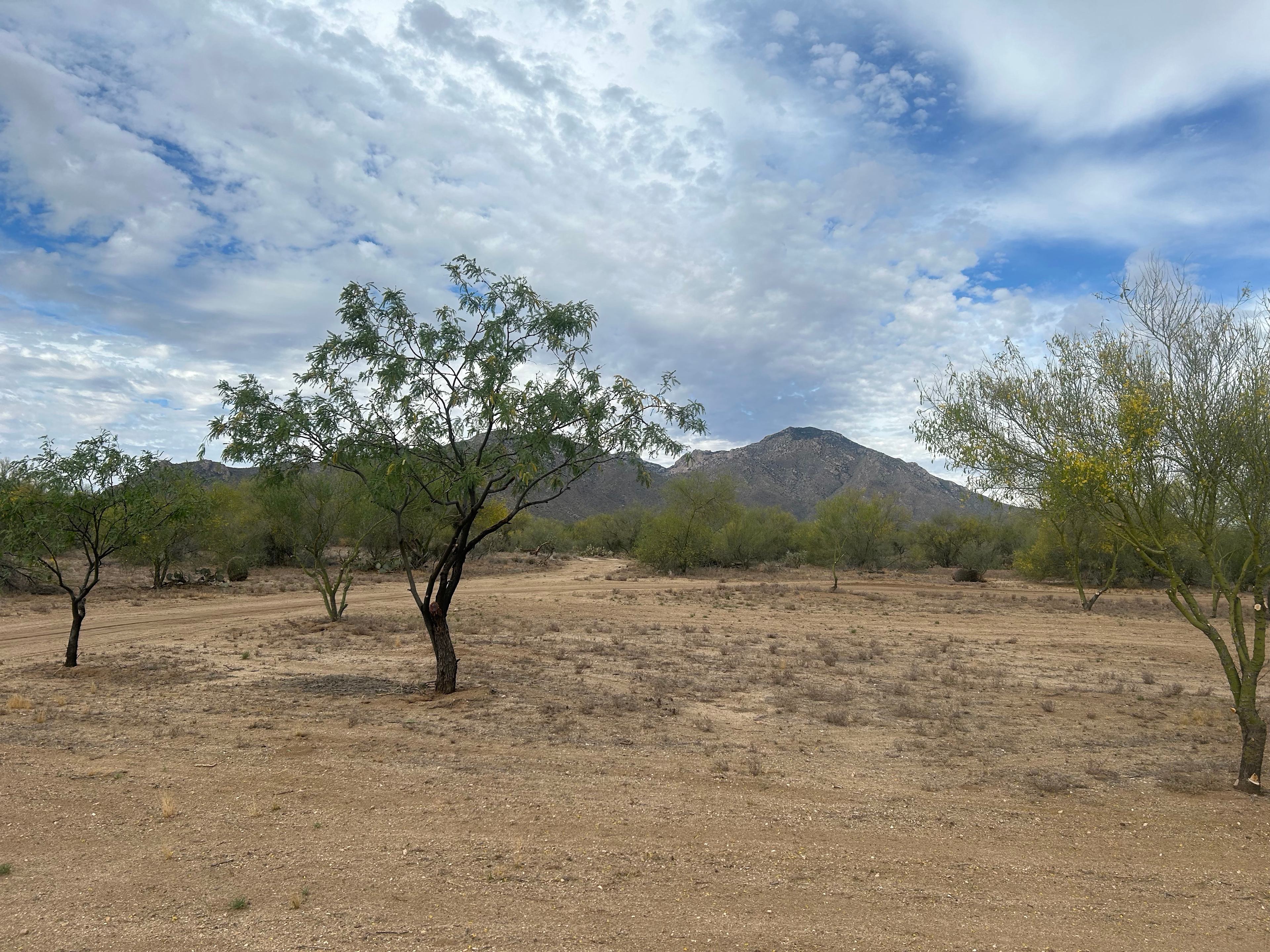 Split Nose Ranch