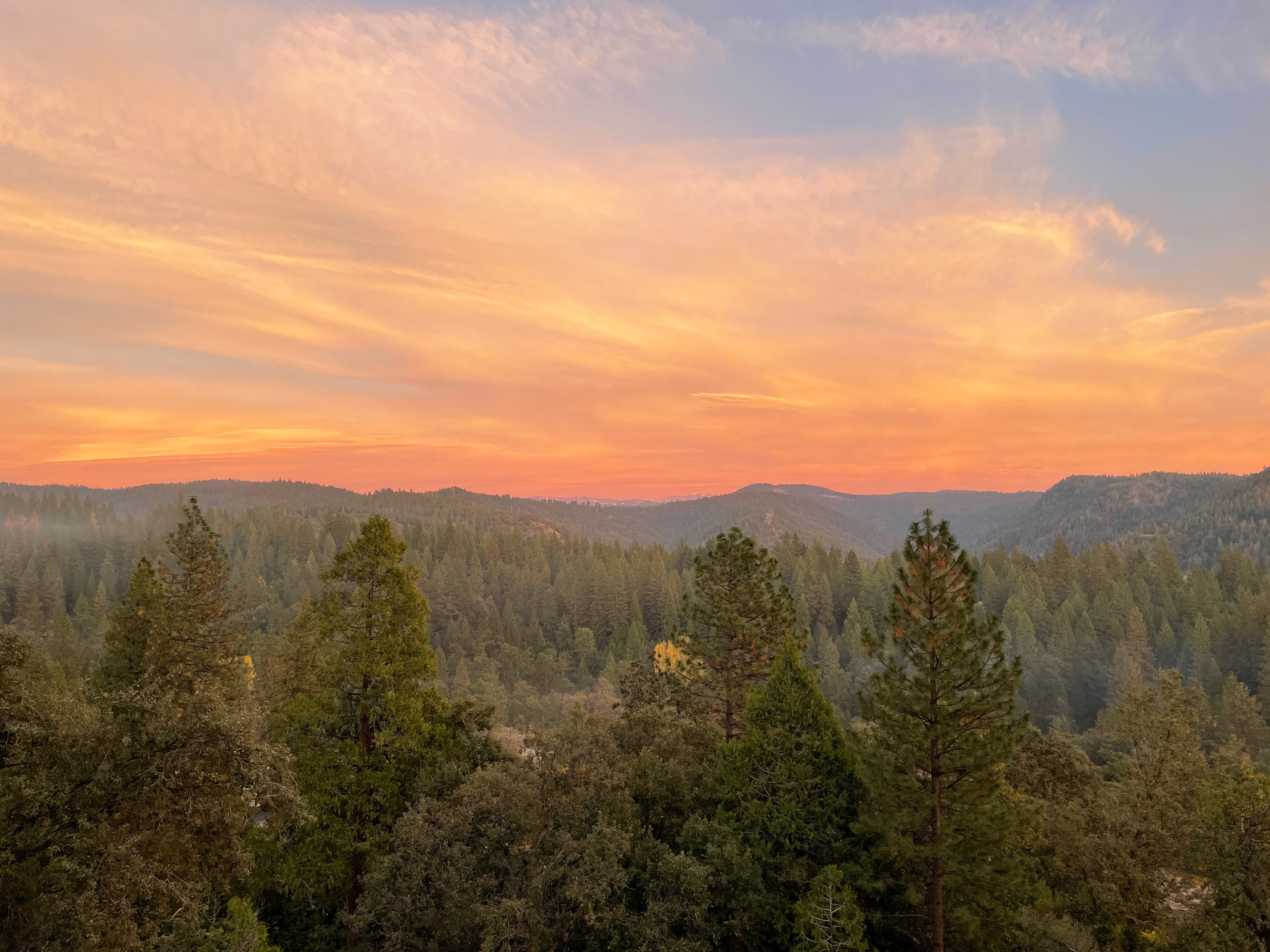 Camping & Tenting in Pioneer, CA