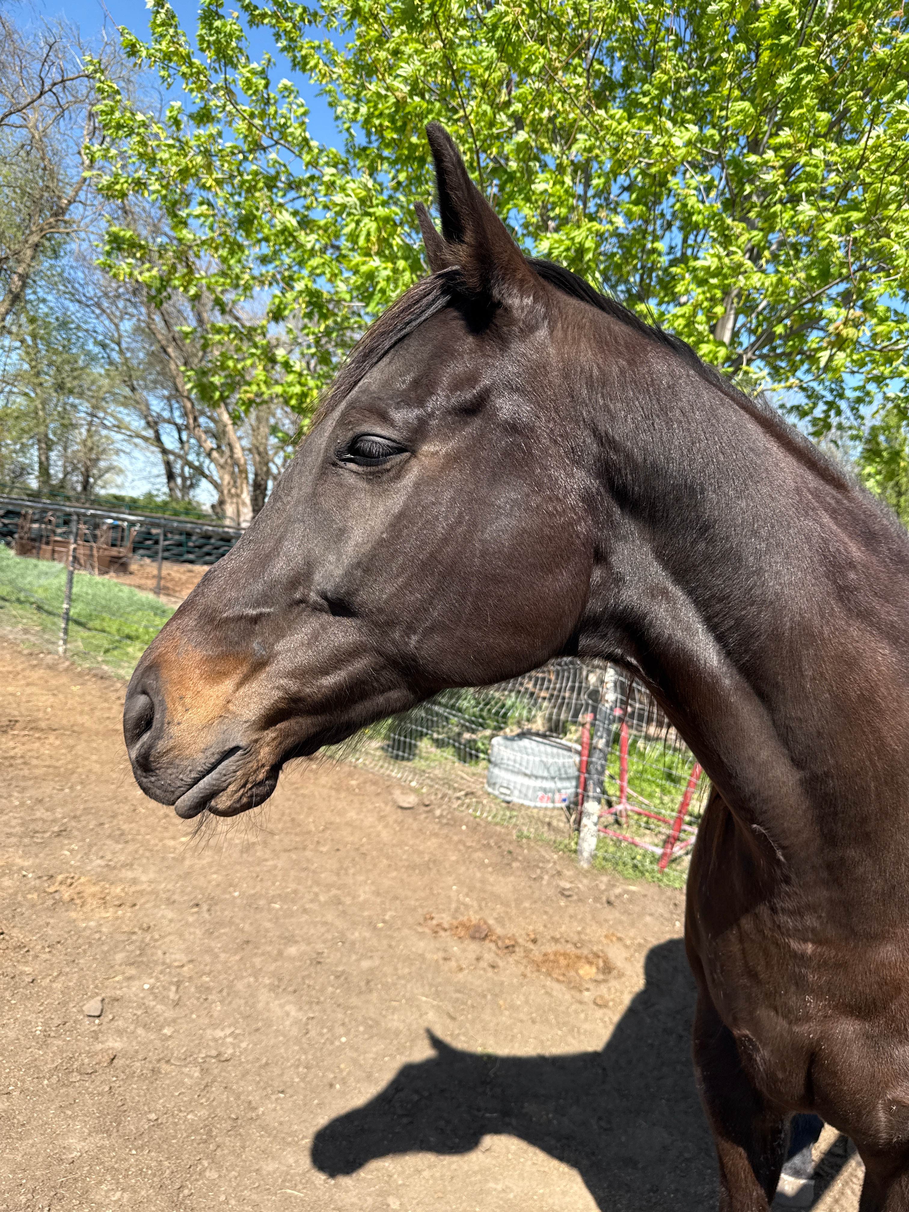 Back 40 RV Storage LLC