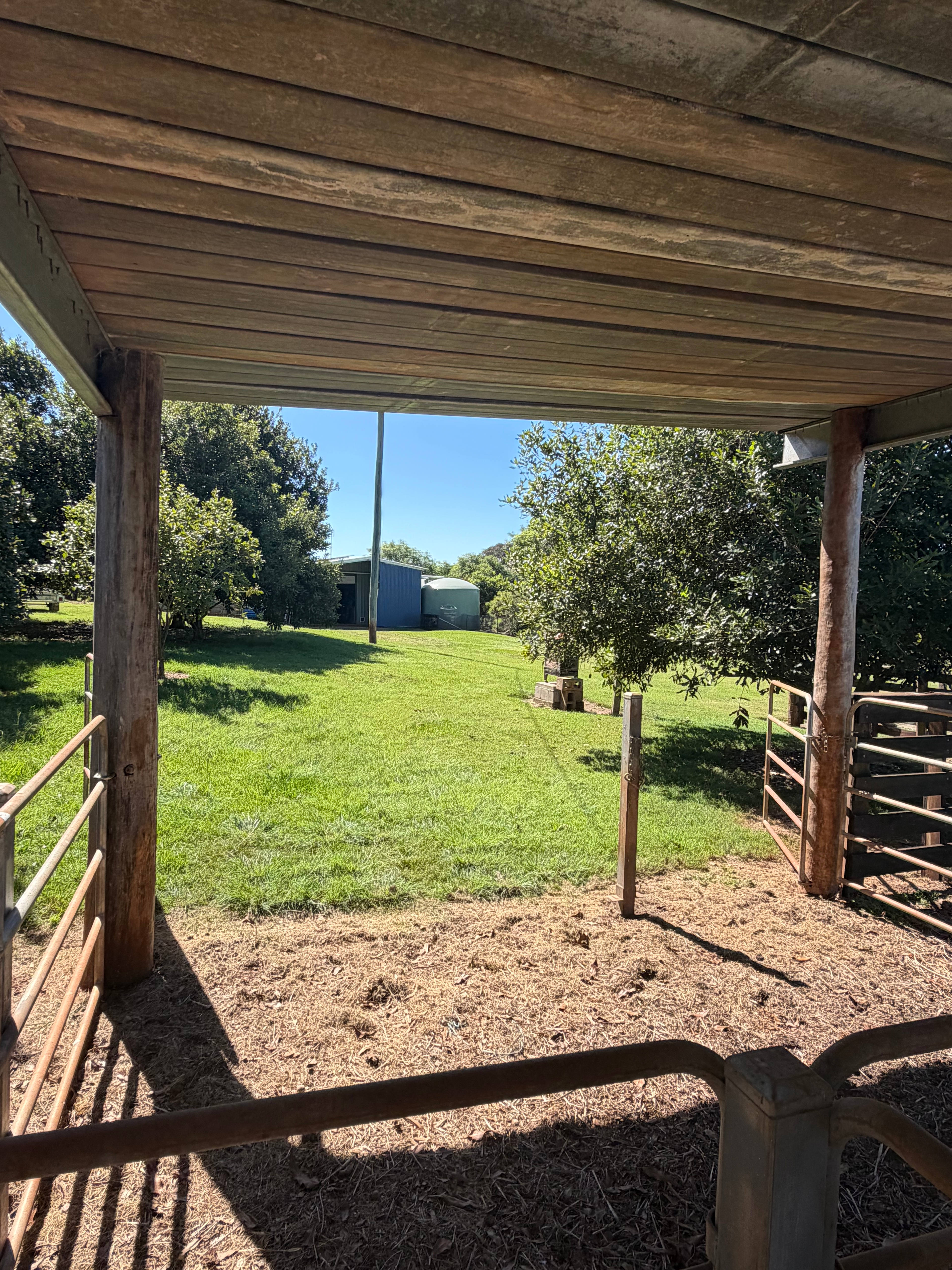 Maple Acres