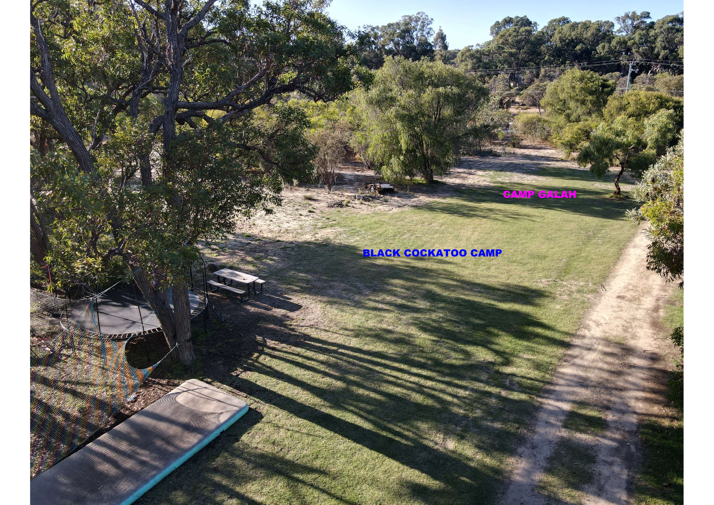 Paws & Feathers Farm