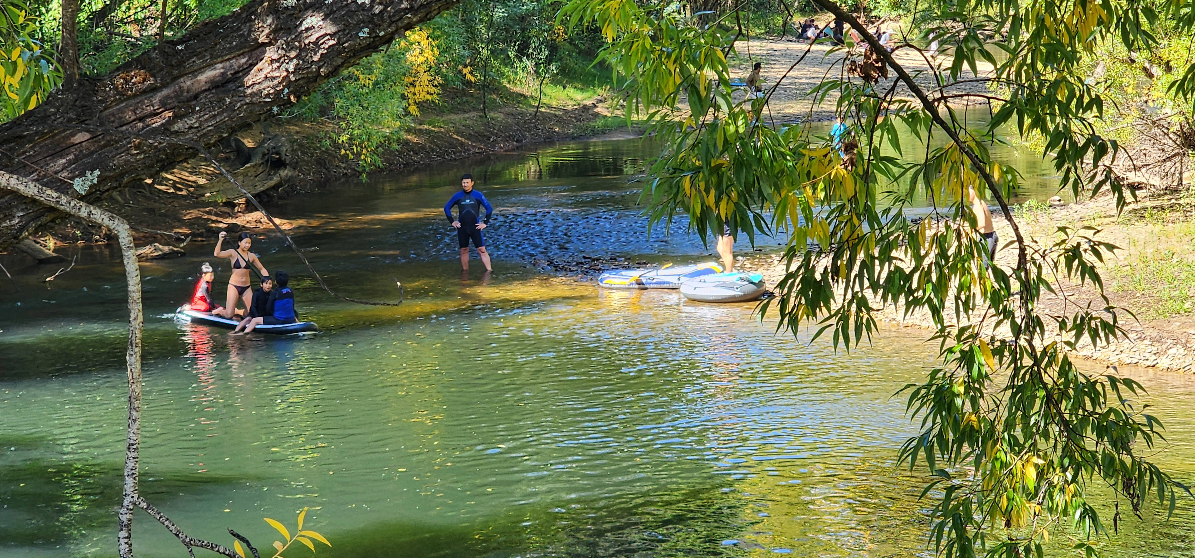 Myrtle Beech Campground