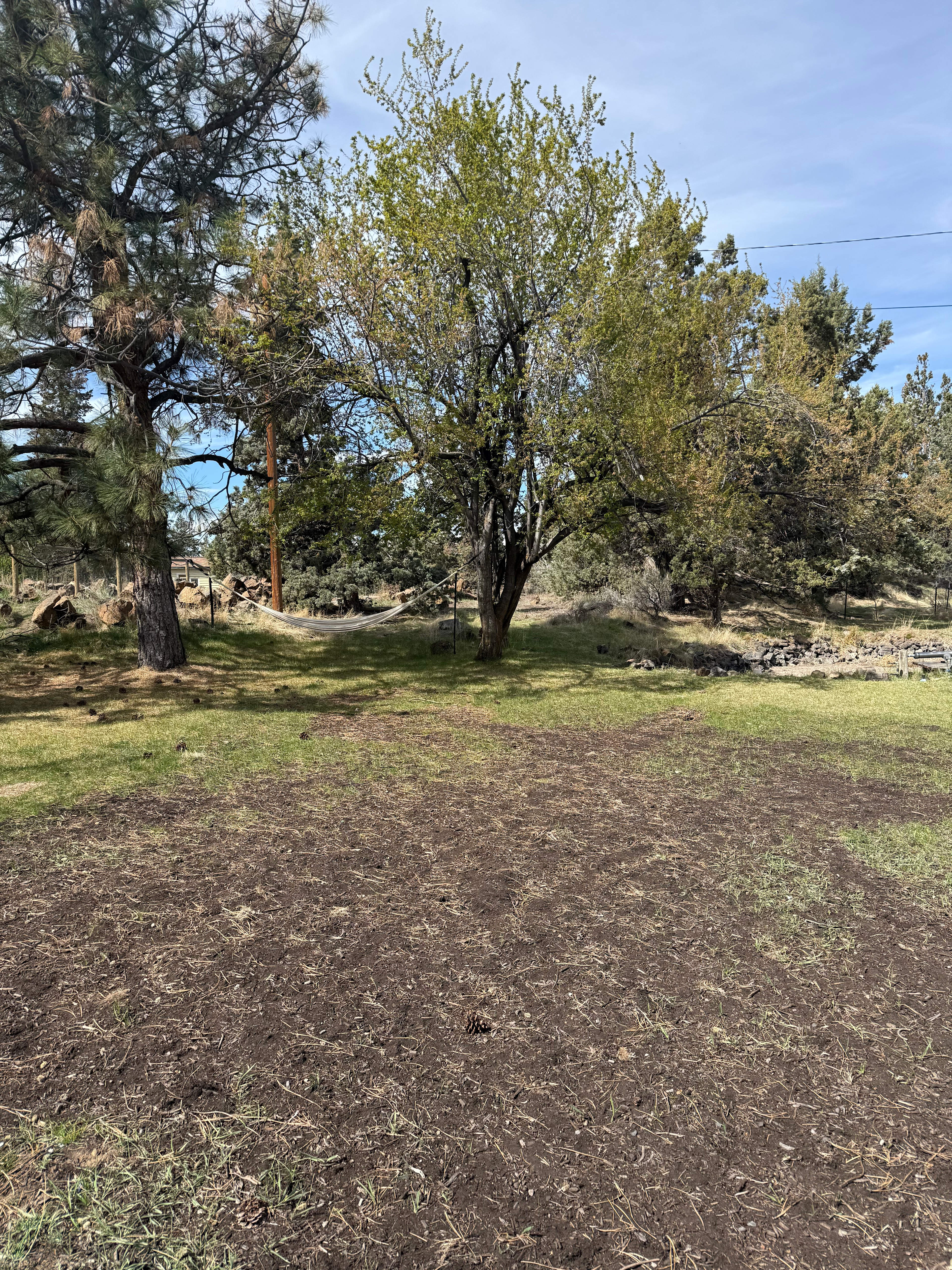 Bend Homestead