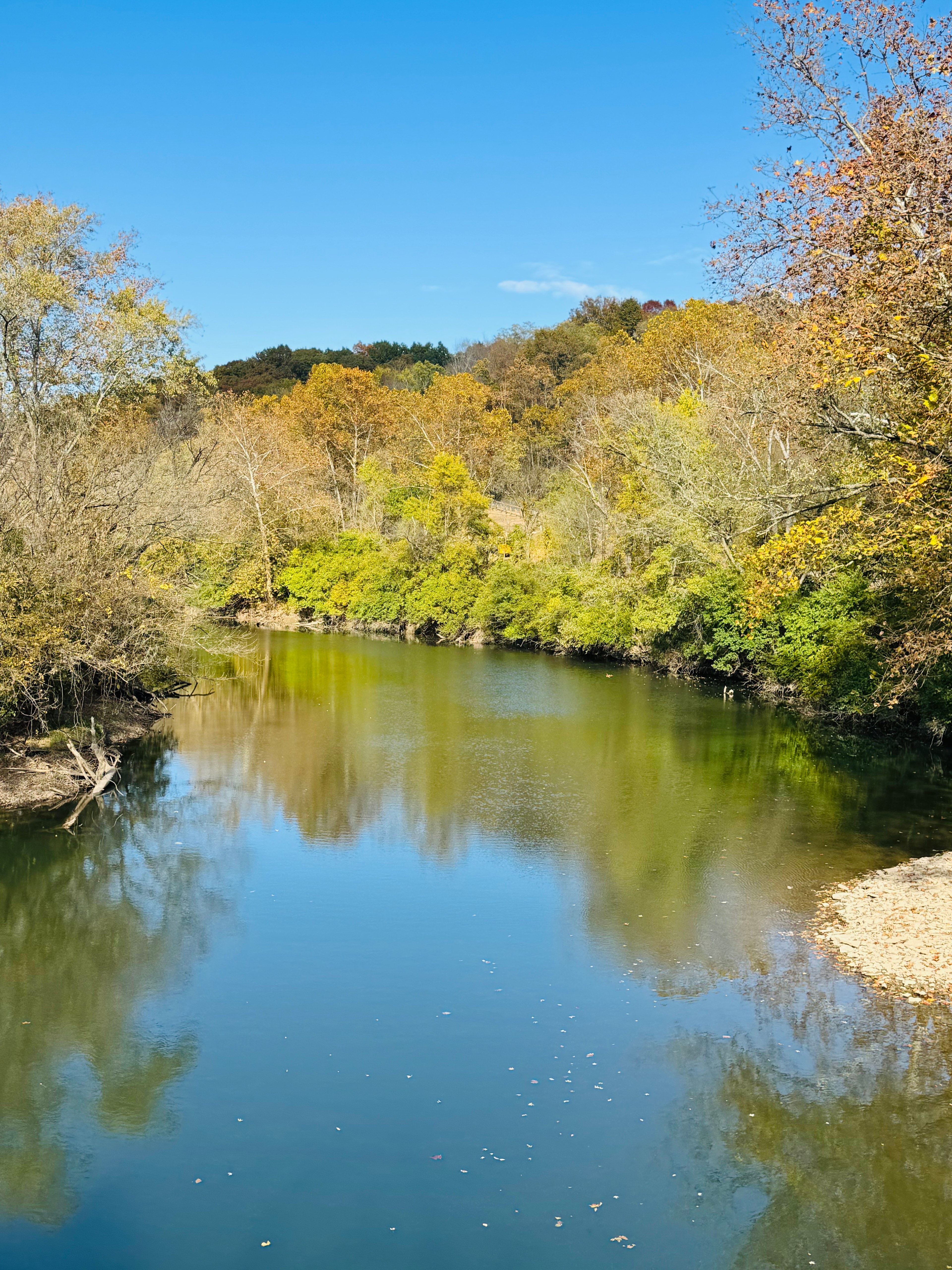 One Earth Collaborative Sanctuary