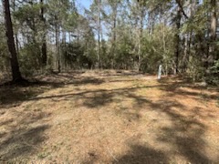 Zavalla Wooded Privacy