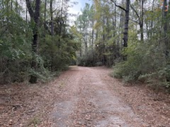 Zavalla Wooded Privacy