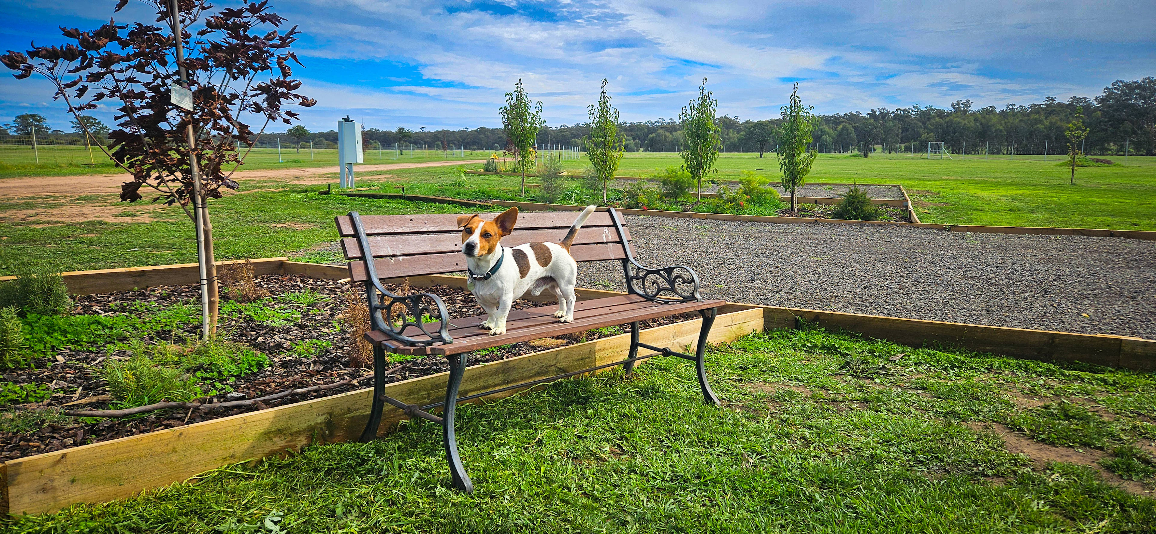 Somerville Park   (Bendigo)
