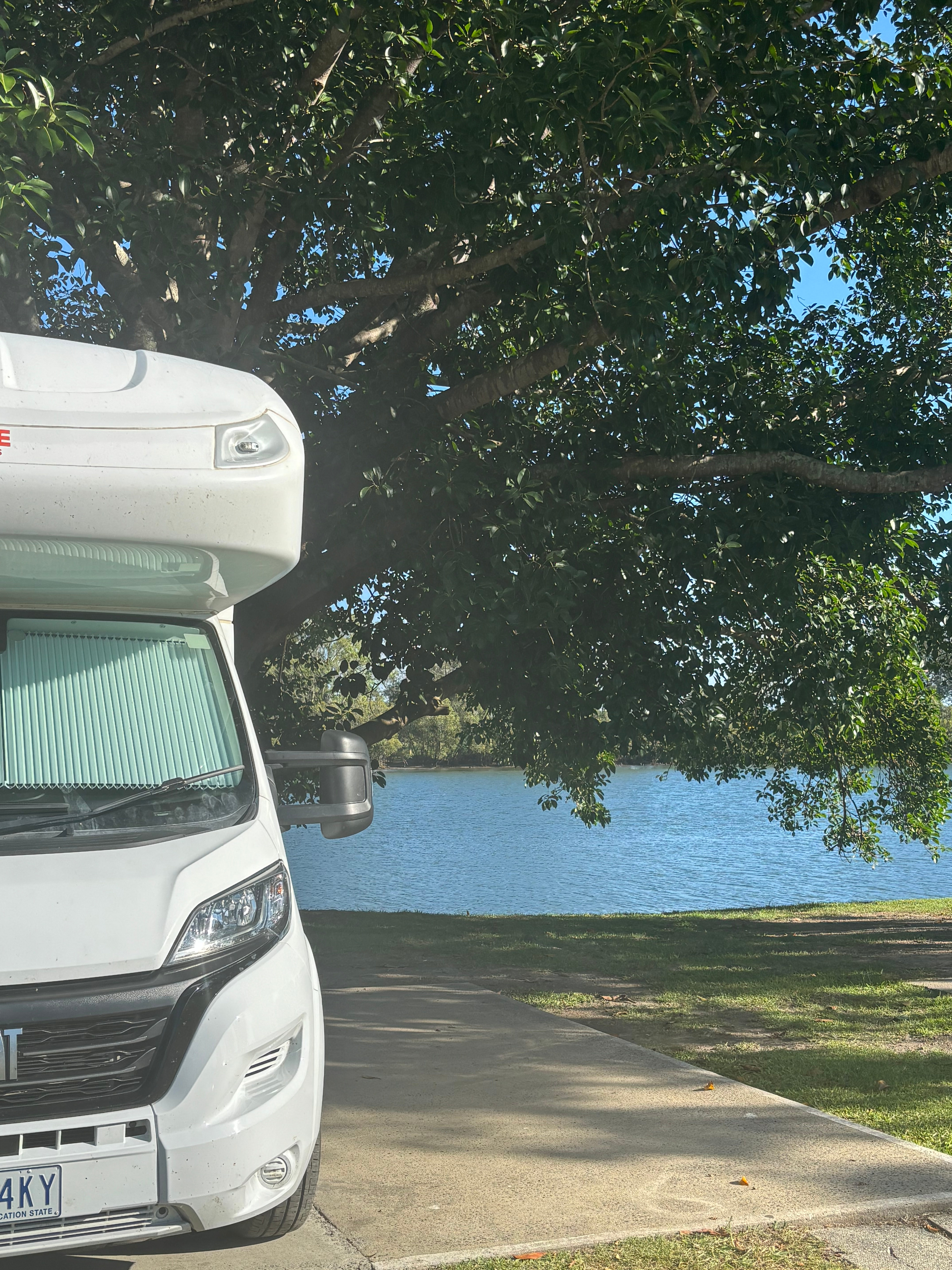 Bellinger River Tourist Park