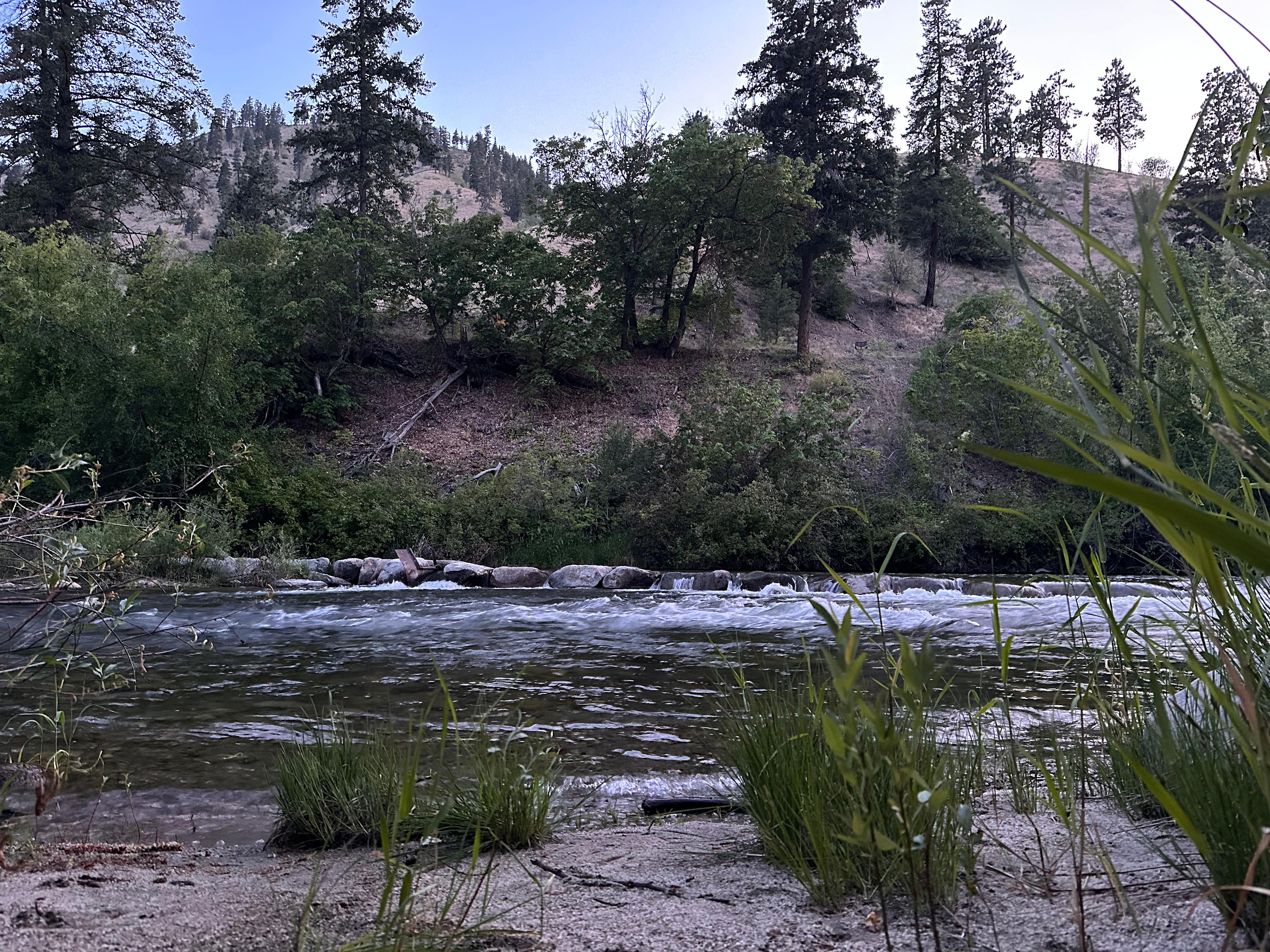 Riverside Oasis