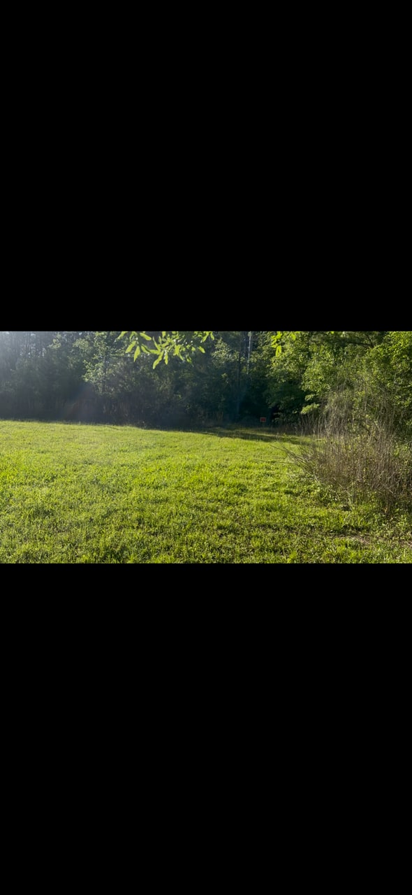 Camp Moonlight Pines