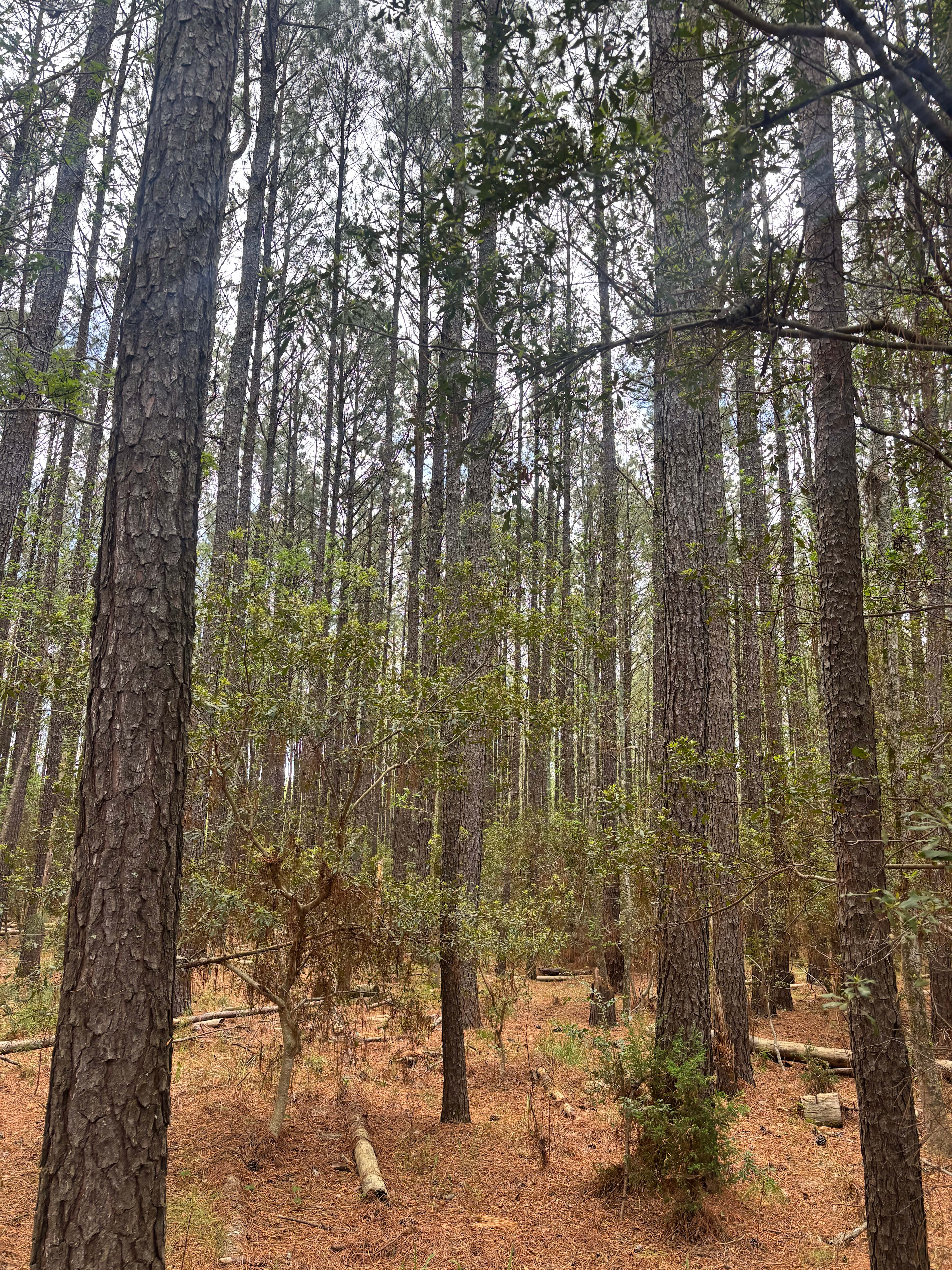 160 Acres On 1700's Waterfront