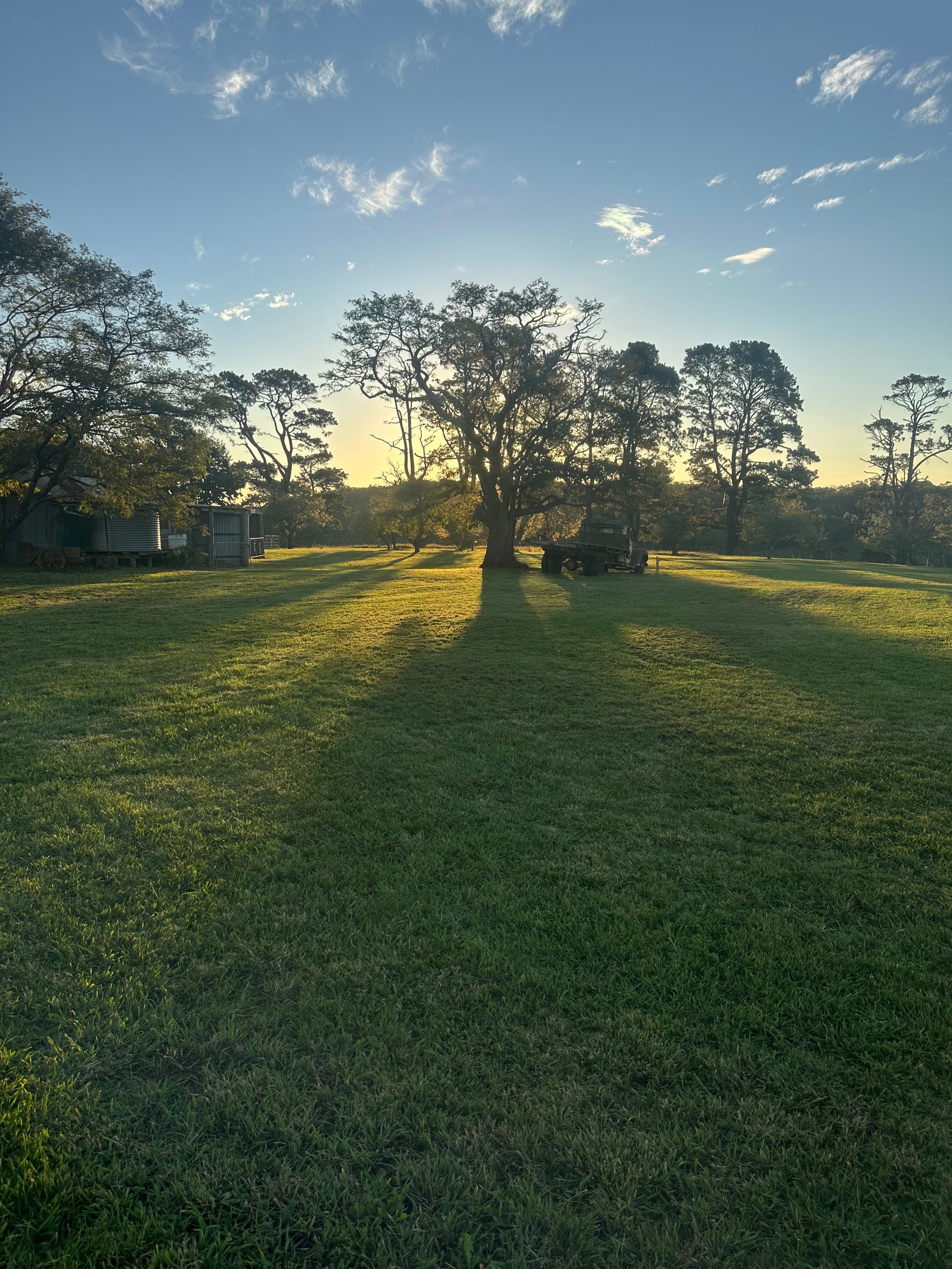 Notlaw Orchard