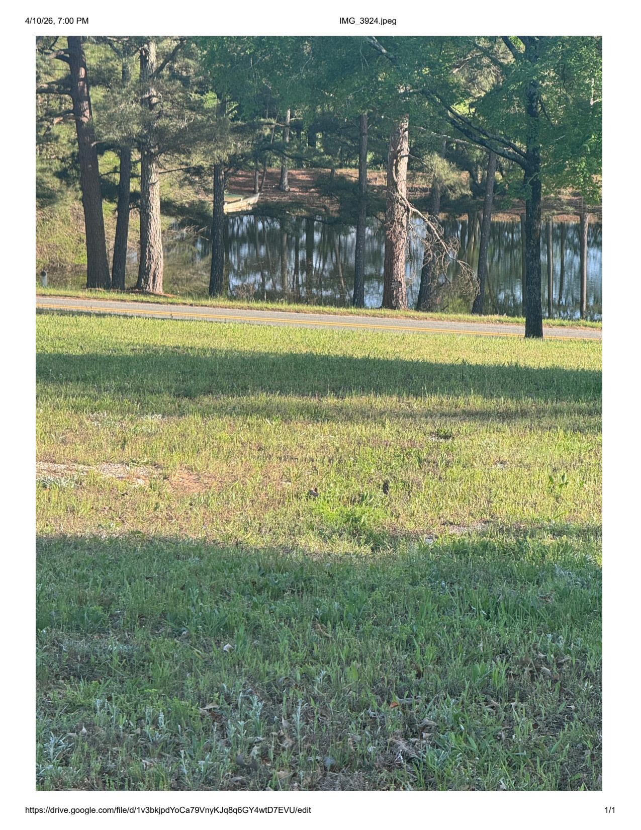 Hwy 84 RV
