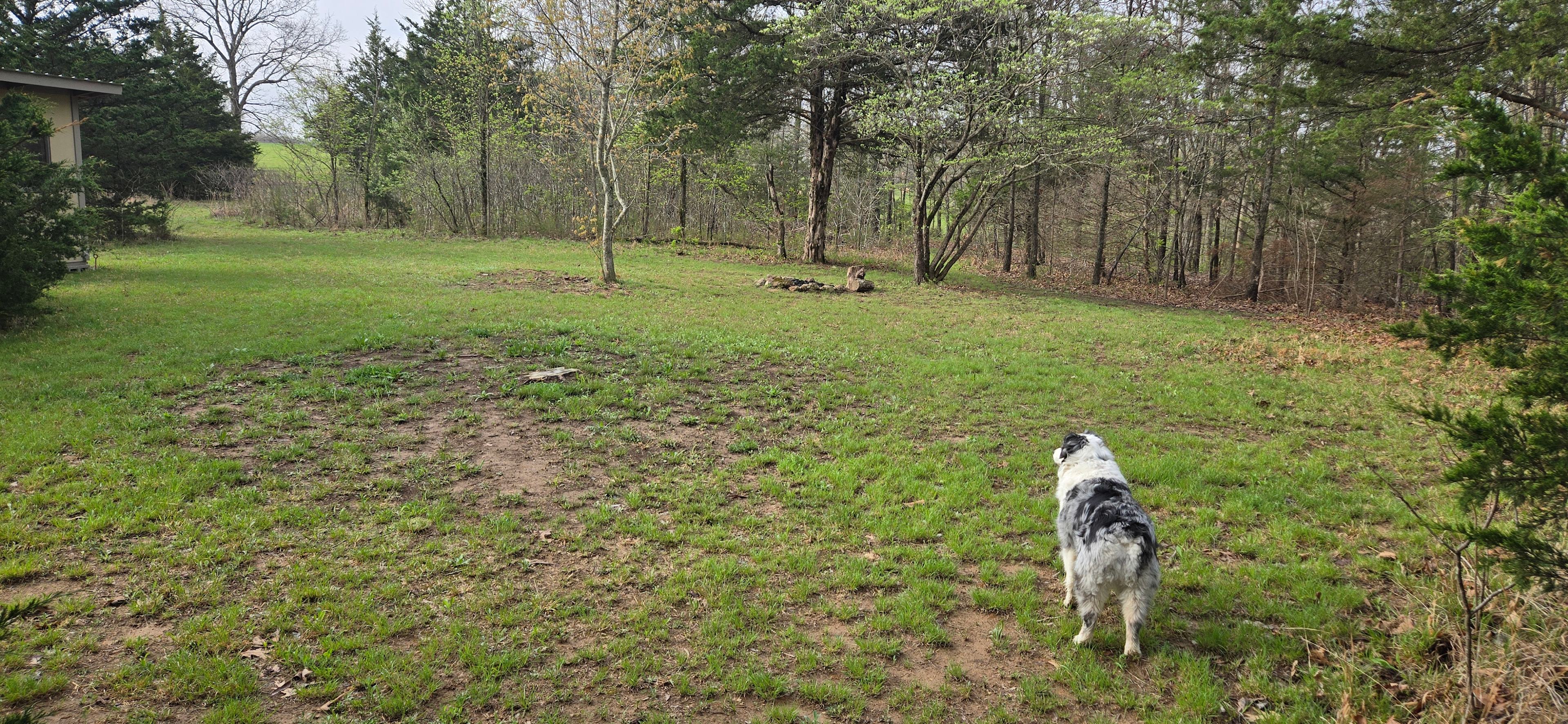 Site 1