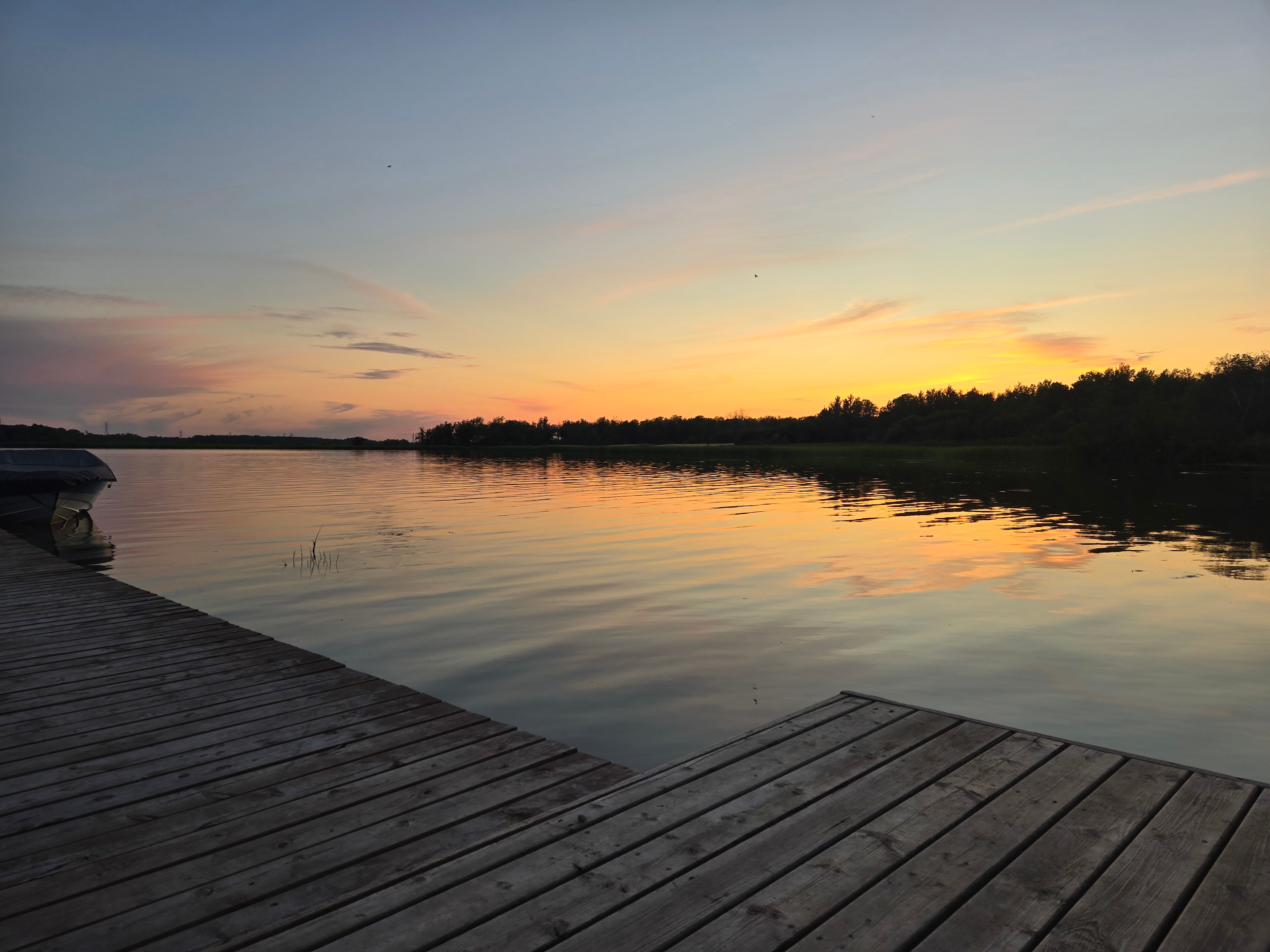 Boreal Forest River Retreat