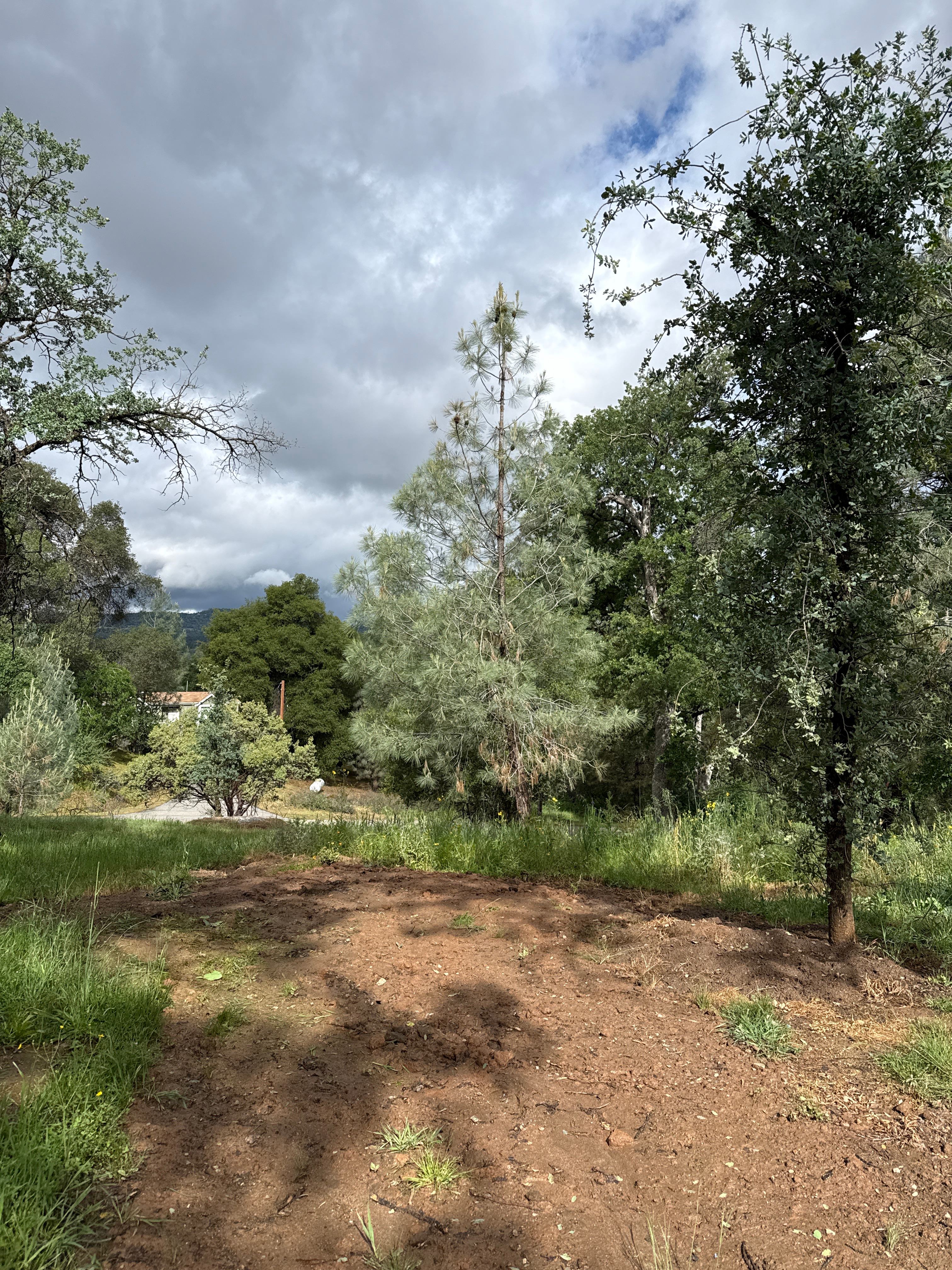 Dirt spot with some shade, further from water & electric but still available near by